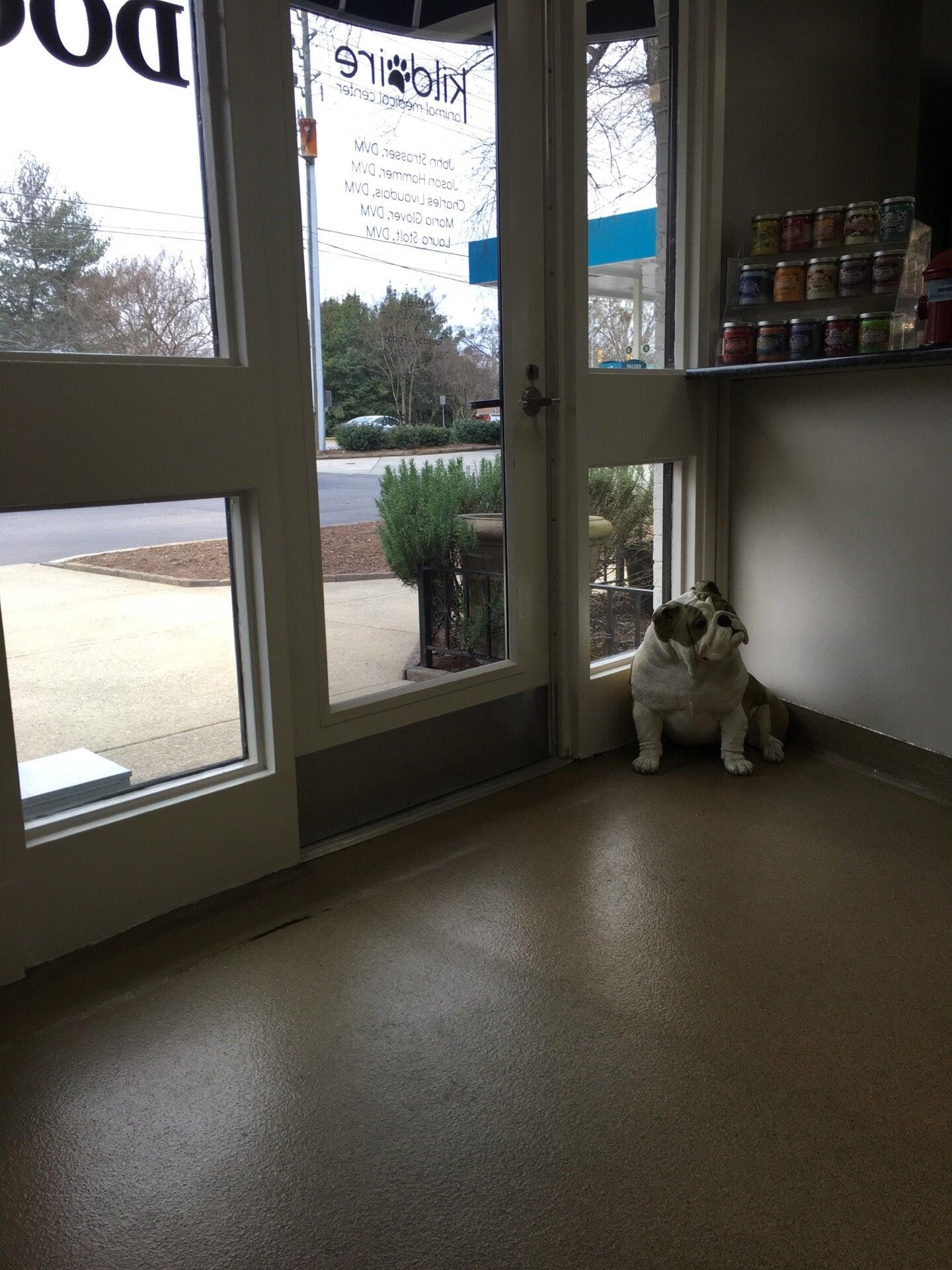 Kildaire Animal Medical Center, A Thrive Pet Healthcare Partner Cary