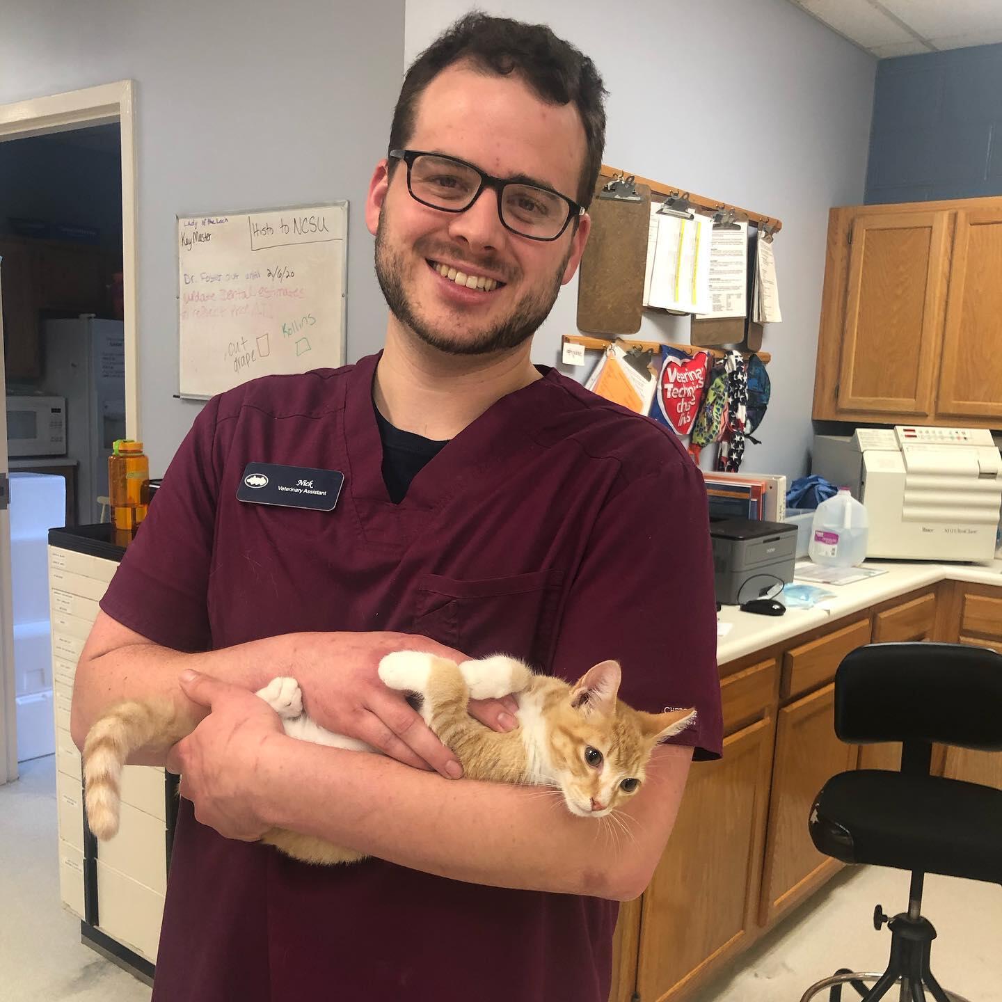 Mayfair Animal Hospital Cary