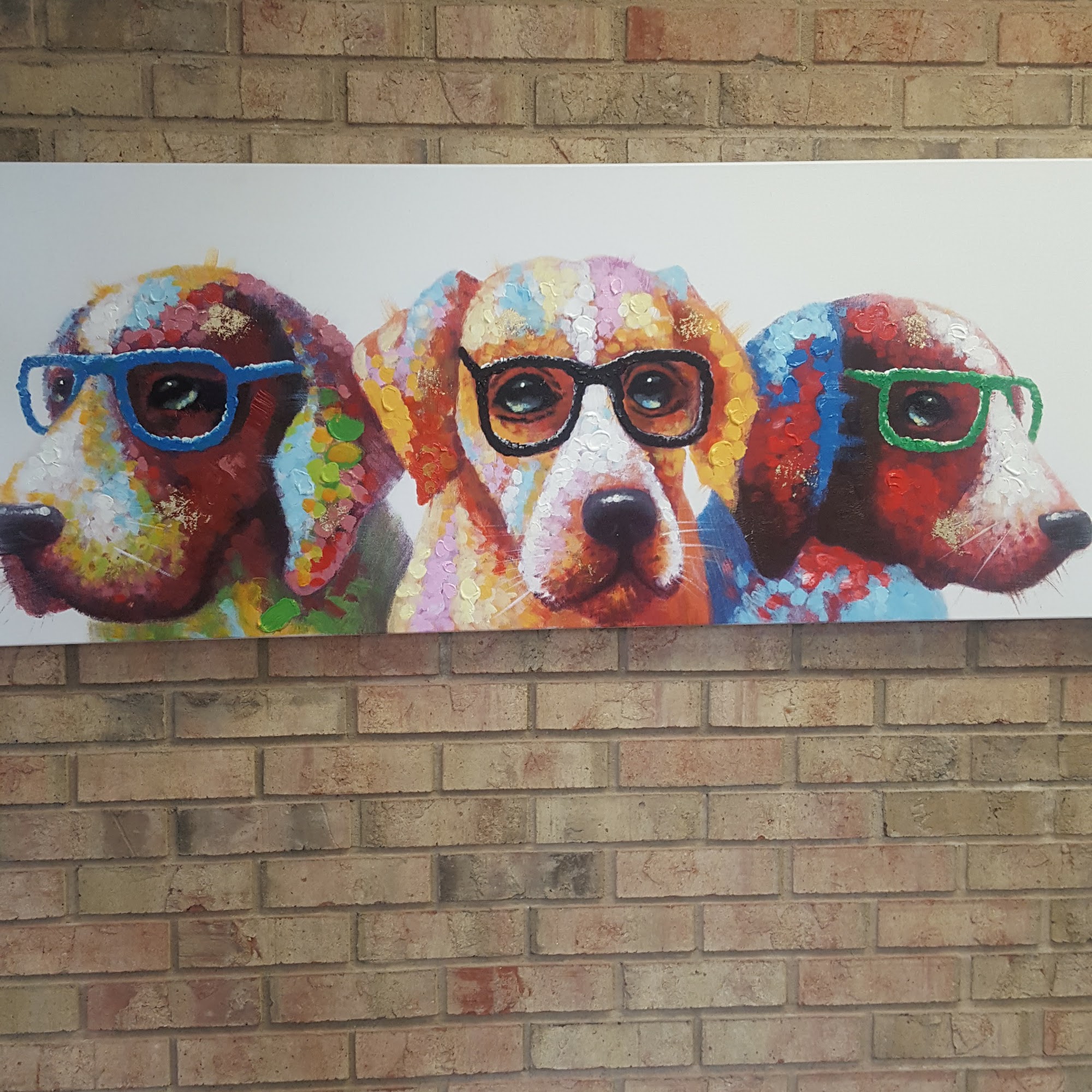 Northwoods Animal Hospital Cary