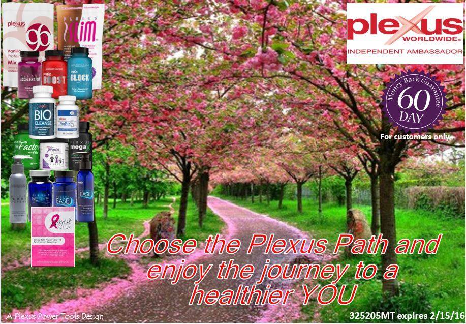 Bodywork Center of Cary