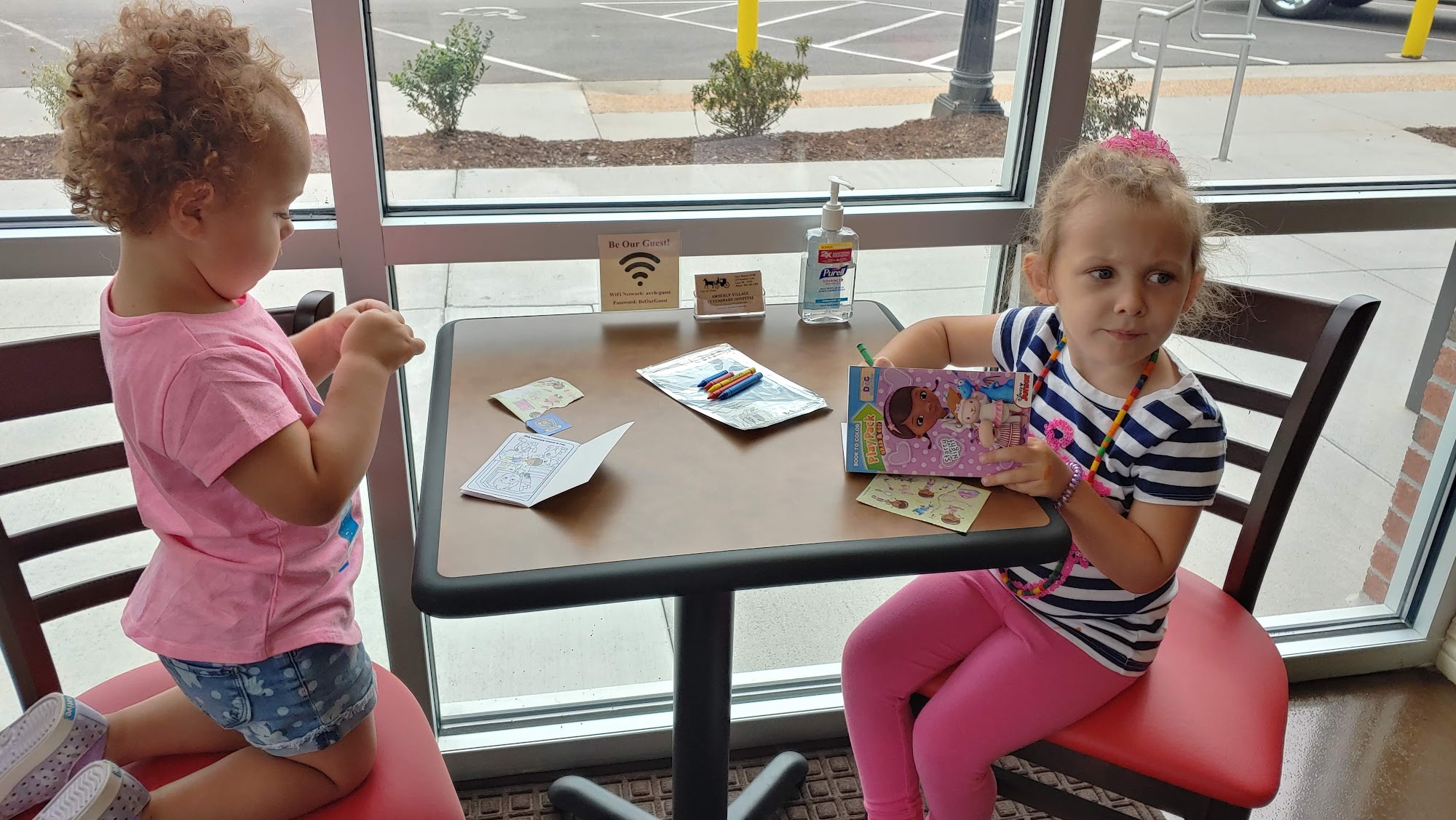 Amberly Village Veterinary Hospital Cary