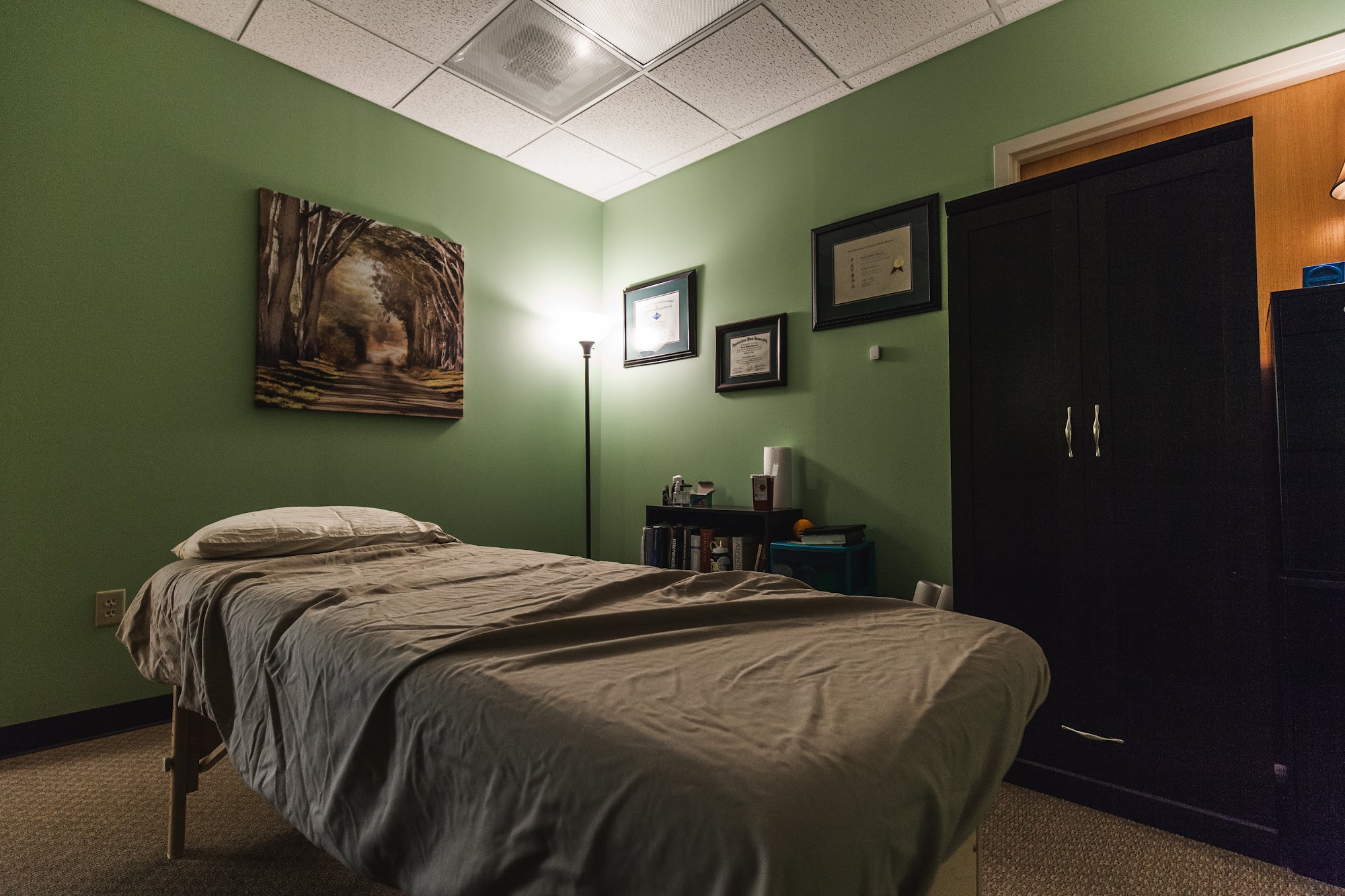 Resonant Body Acupuncture 1616 Evans Rd #150, Cary North Carolina 27513