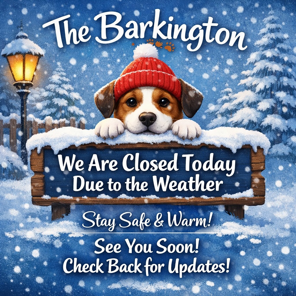 The Barkington Castle Hayne