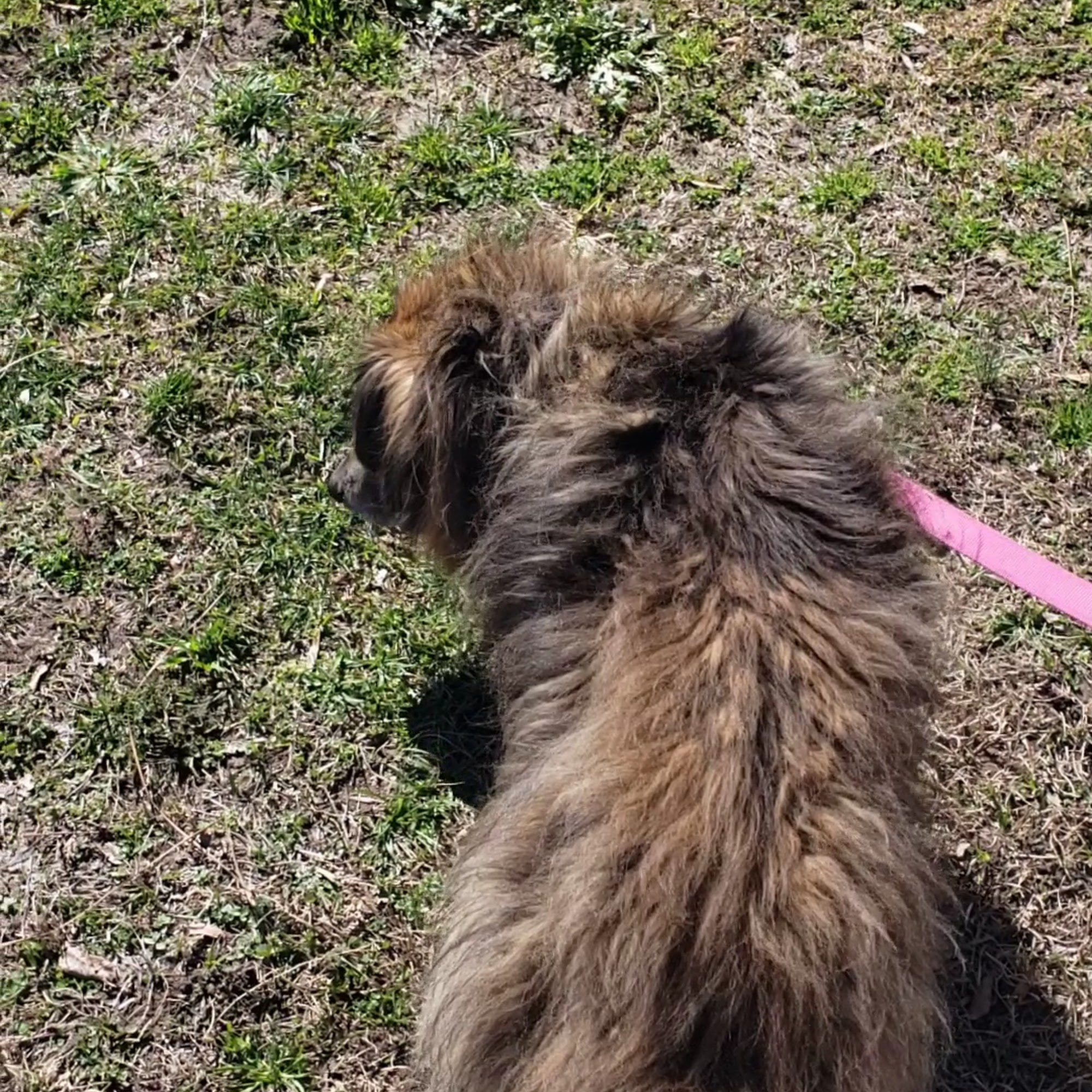 Columbus Veterinary Clinic Cerro Gordo