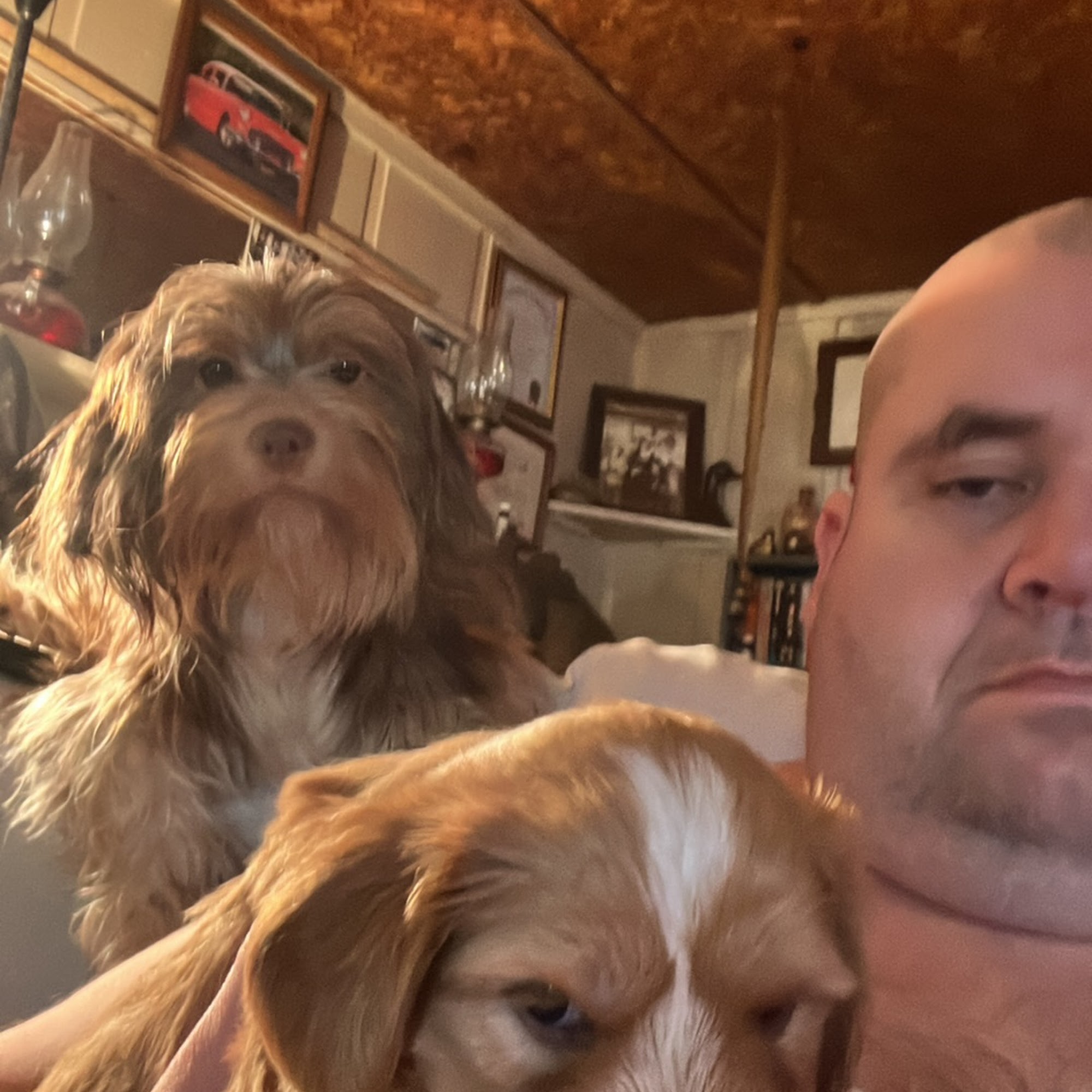 Burroughs Jeff DVM Chadbourn