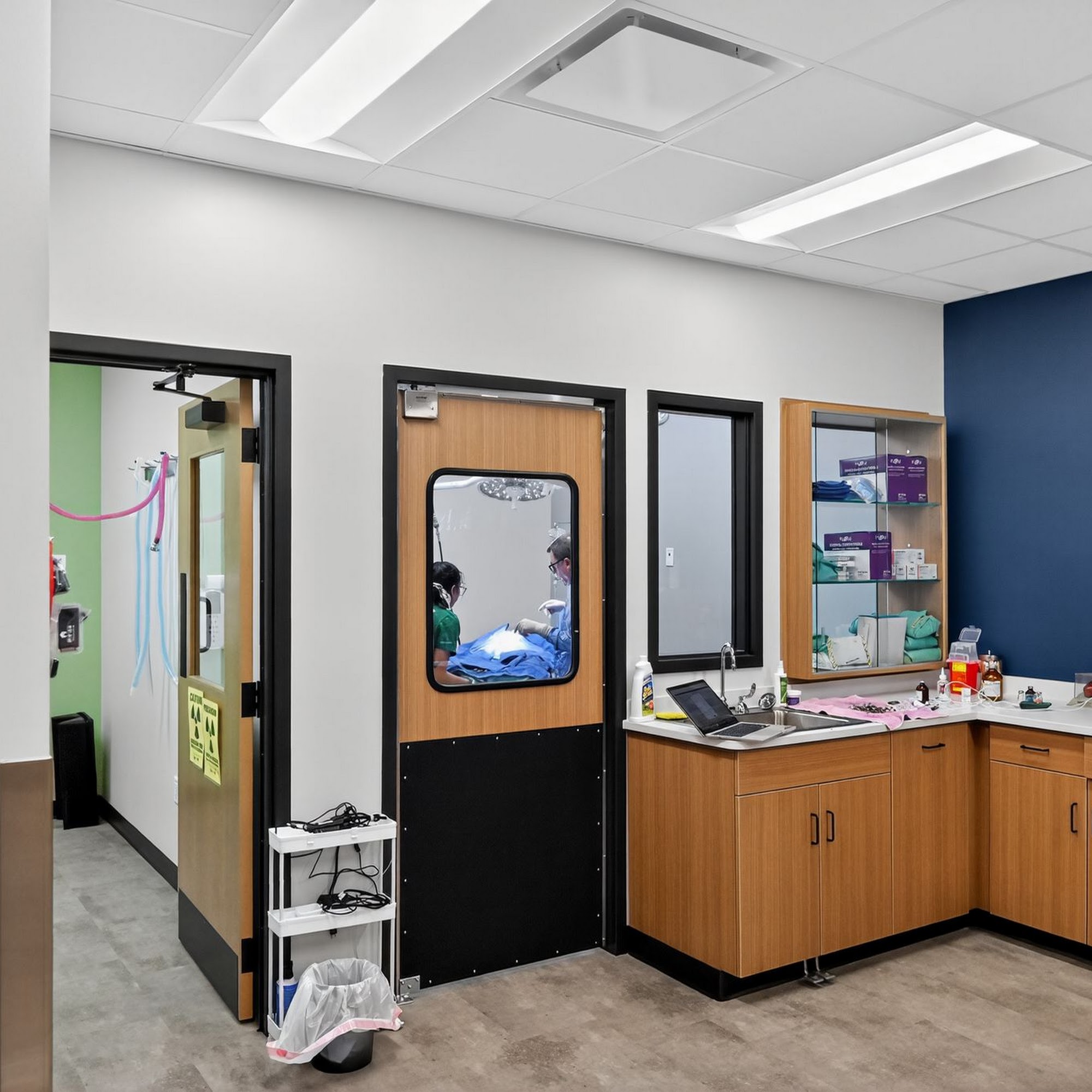 Vine Veterinary Hospital Chapel Hill