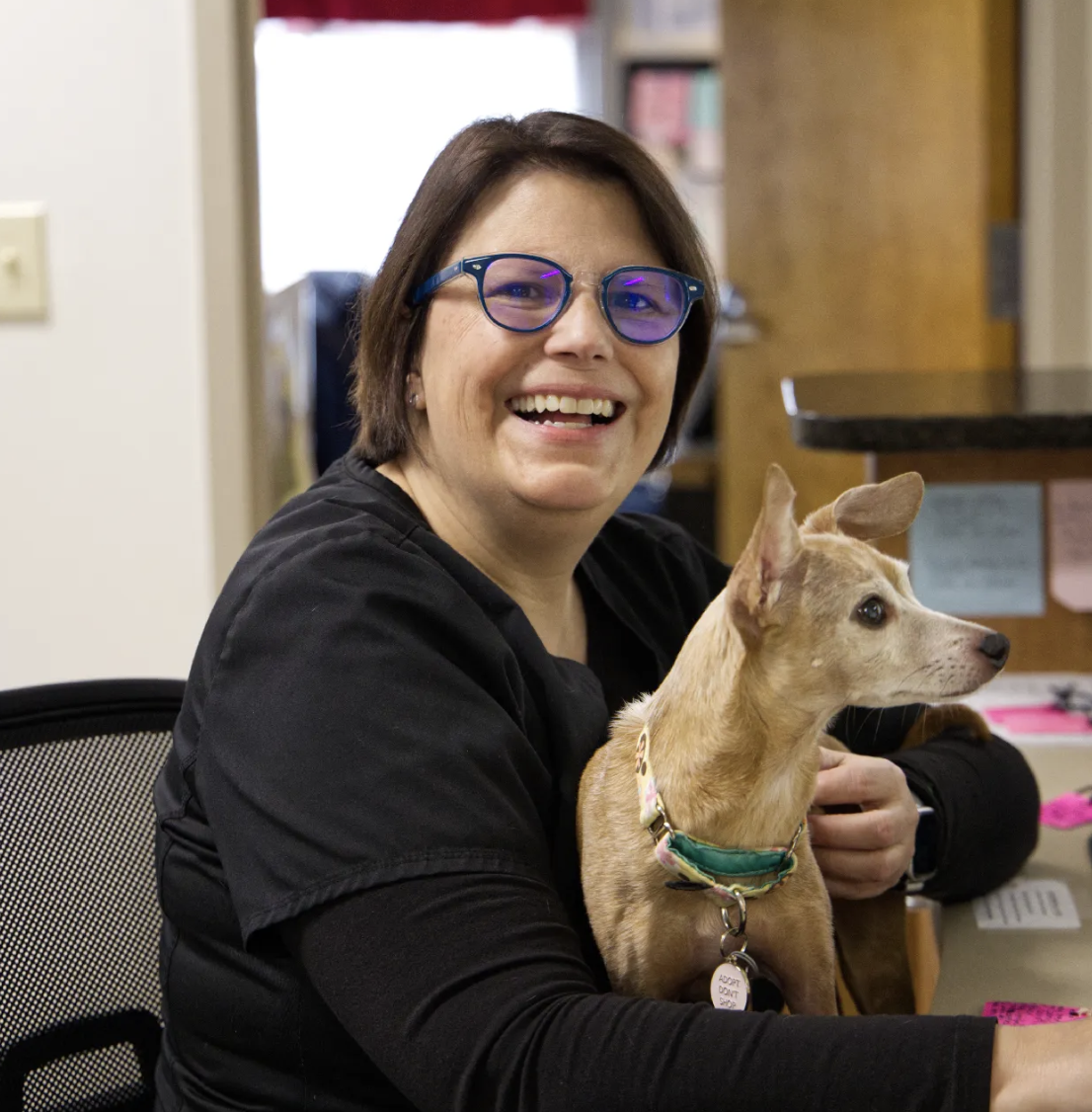 Meadowmont Animal Hospital Chapel Hill