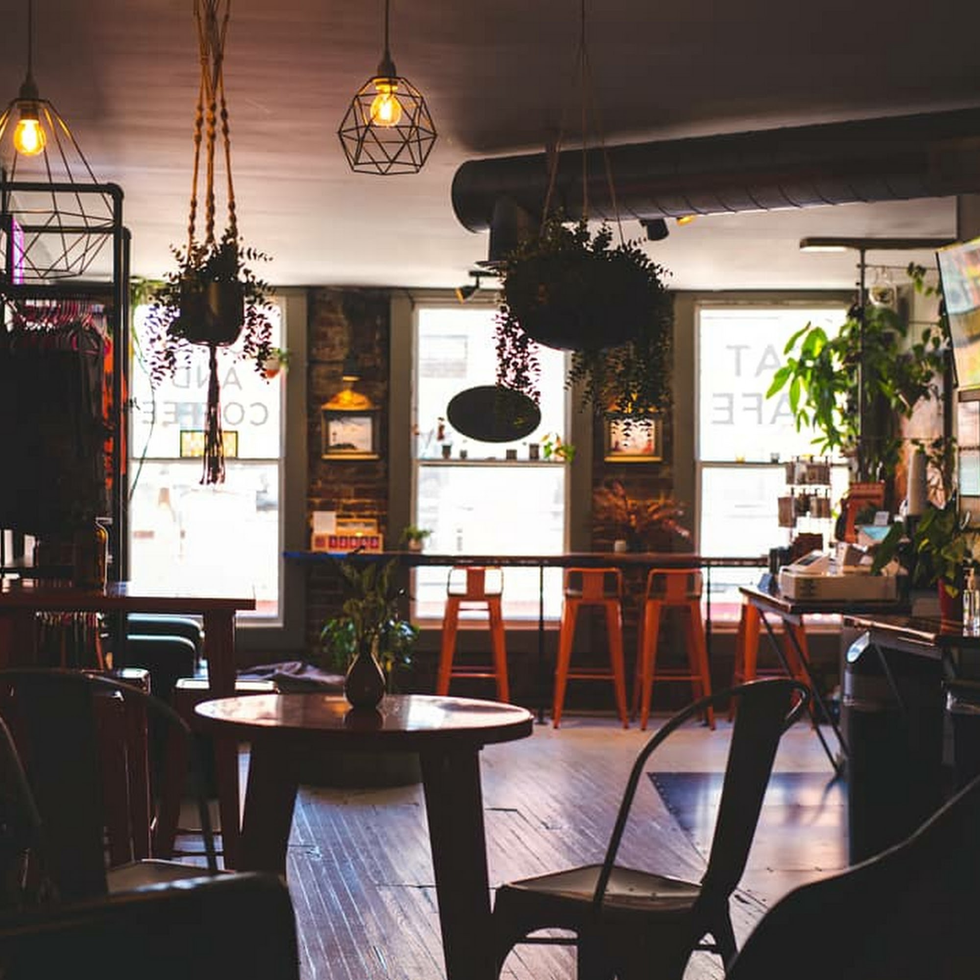 Mac Tabby Cat Cafe - Charlotte Charlotte