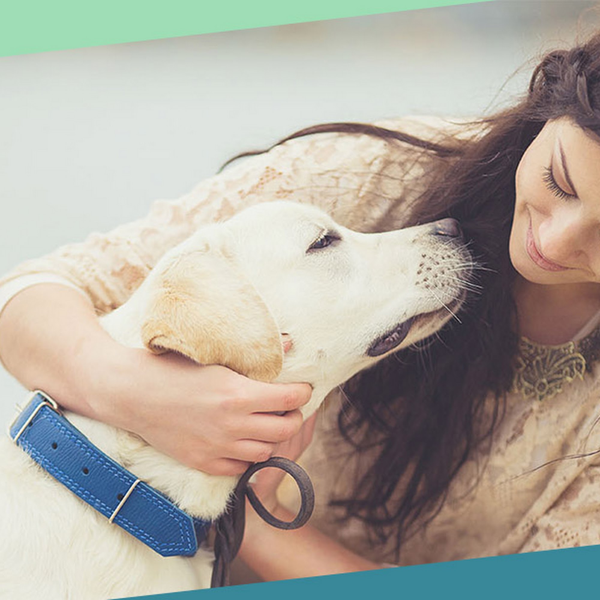 Armstrong Animal Clinic Charlotte