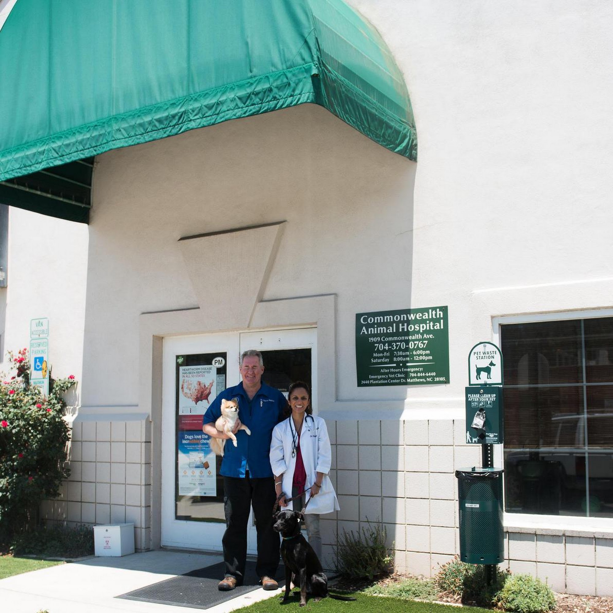 Commonwealth Animal Hospital Charlotte