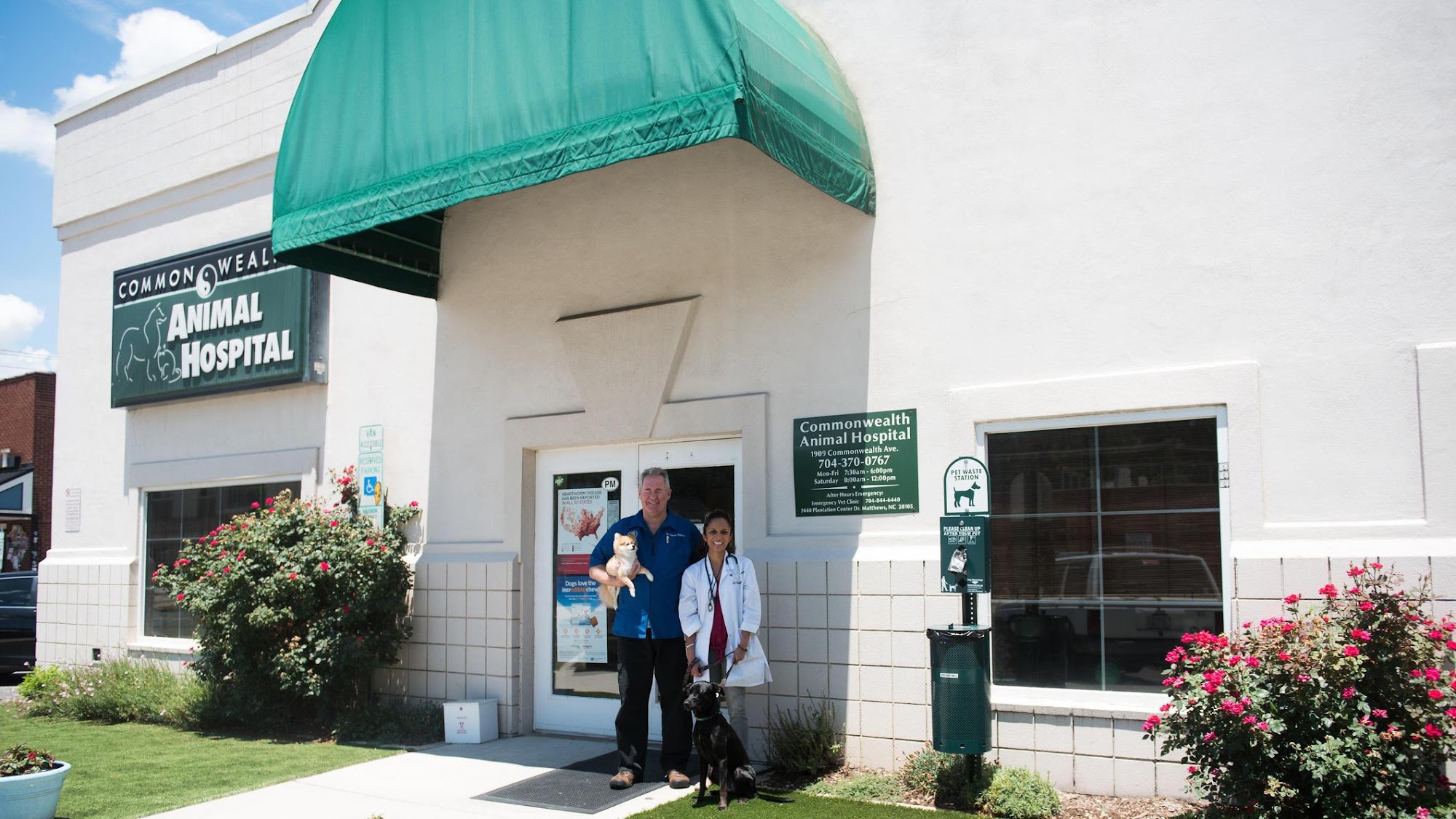 Commonwealth Animal Hospital Charlotte