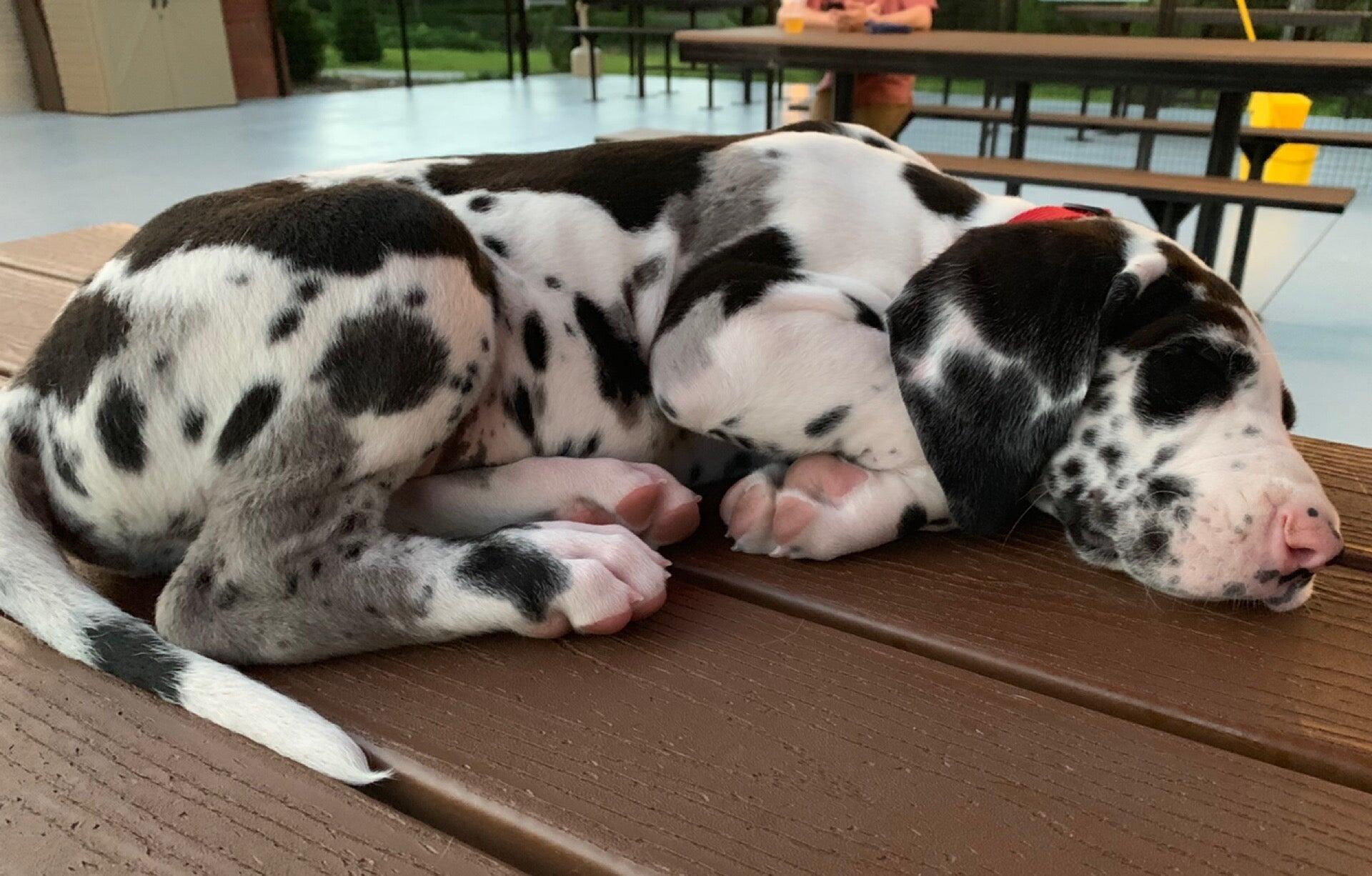 Photo credit: nextdoor