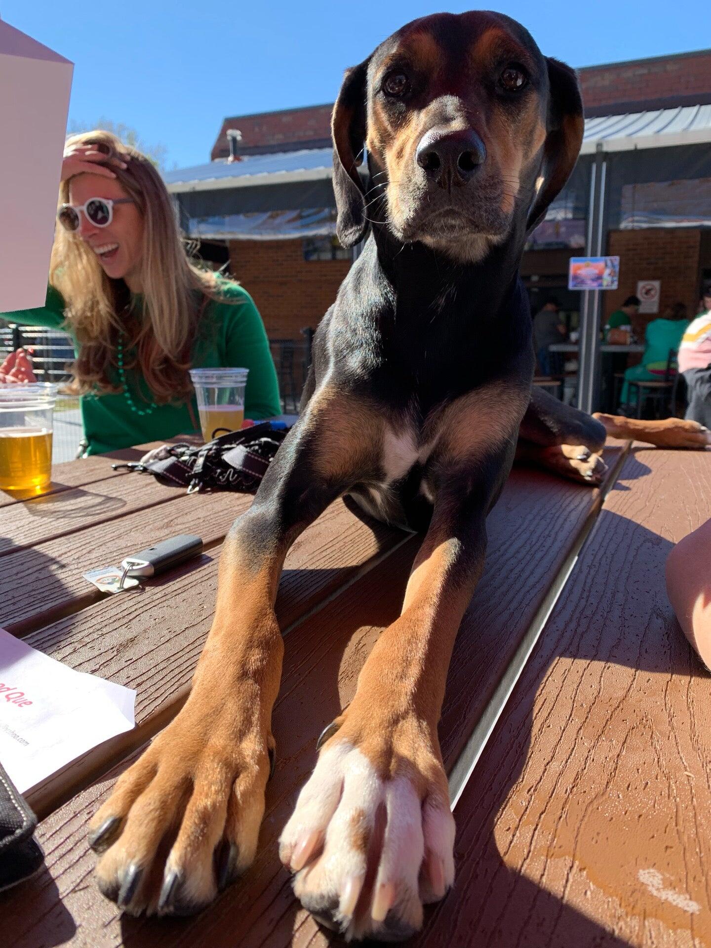 Photo credit: nextdoor