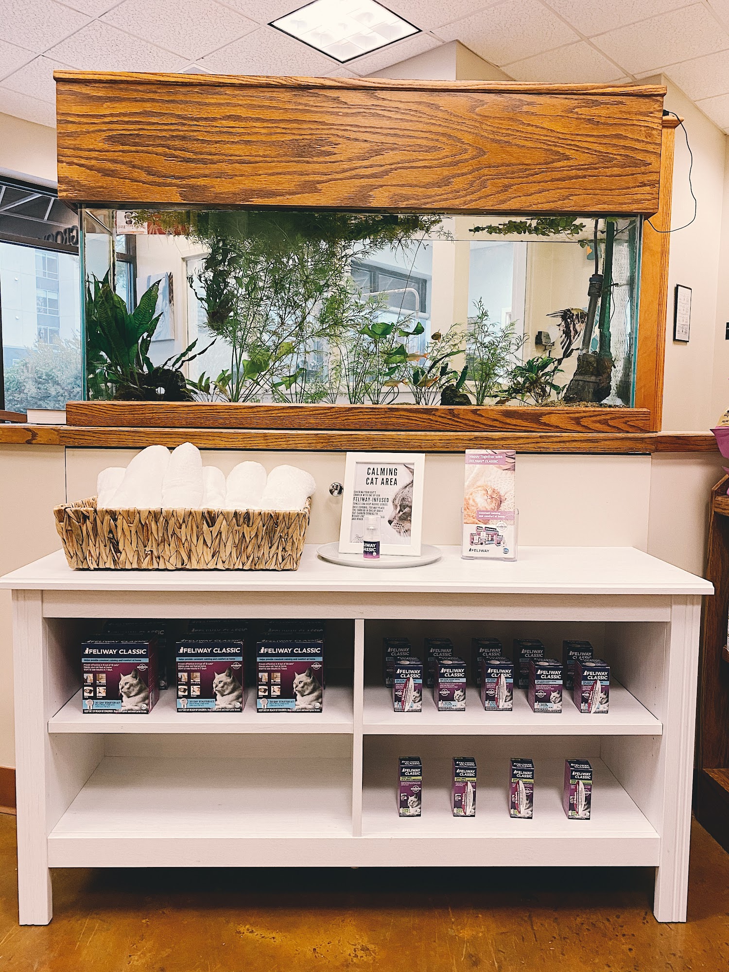 Piper Glen Animal Hospital Charlotte