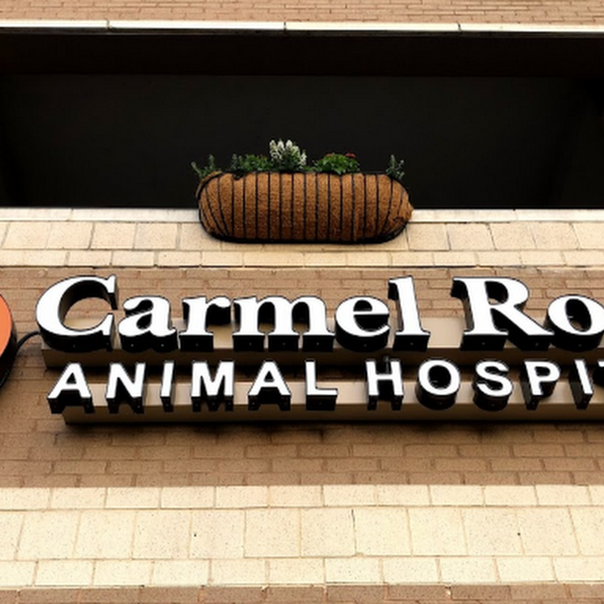 Carmel Road Animal Hospital Charlotte
