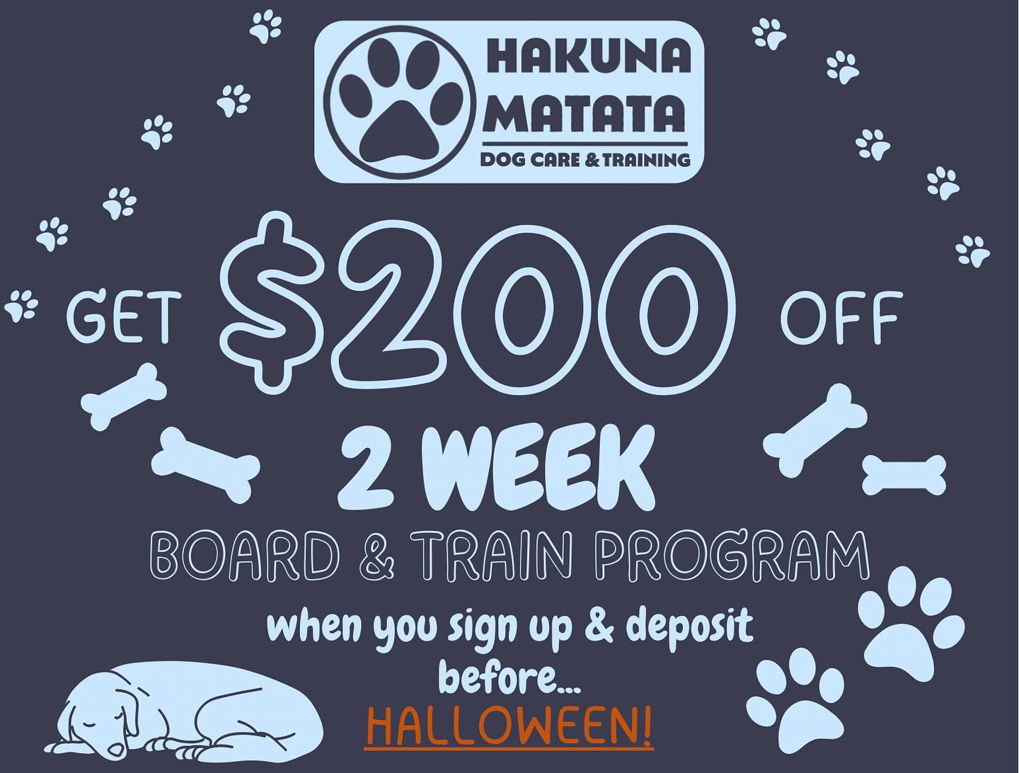 Hakuna Matata Dog Care & Training, LLC Charlotte