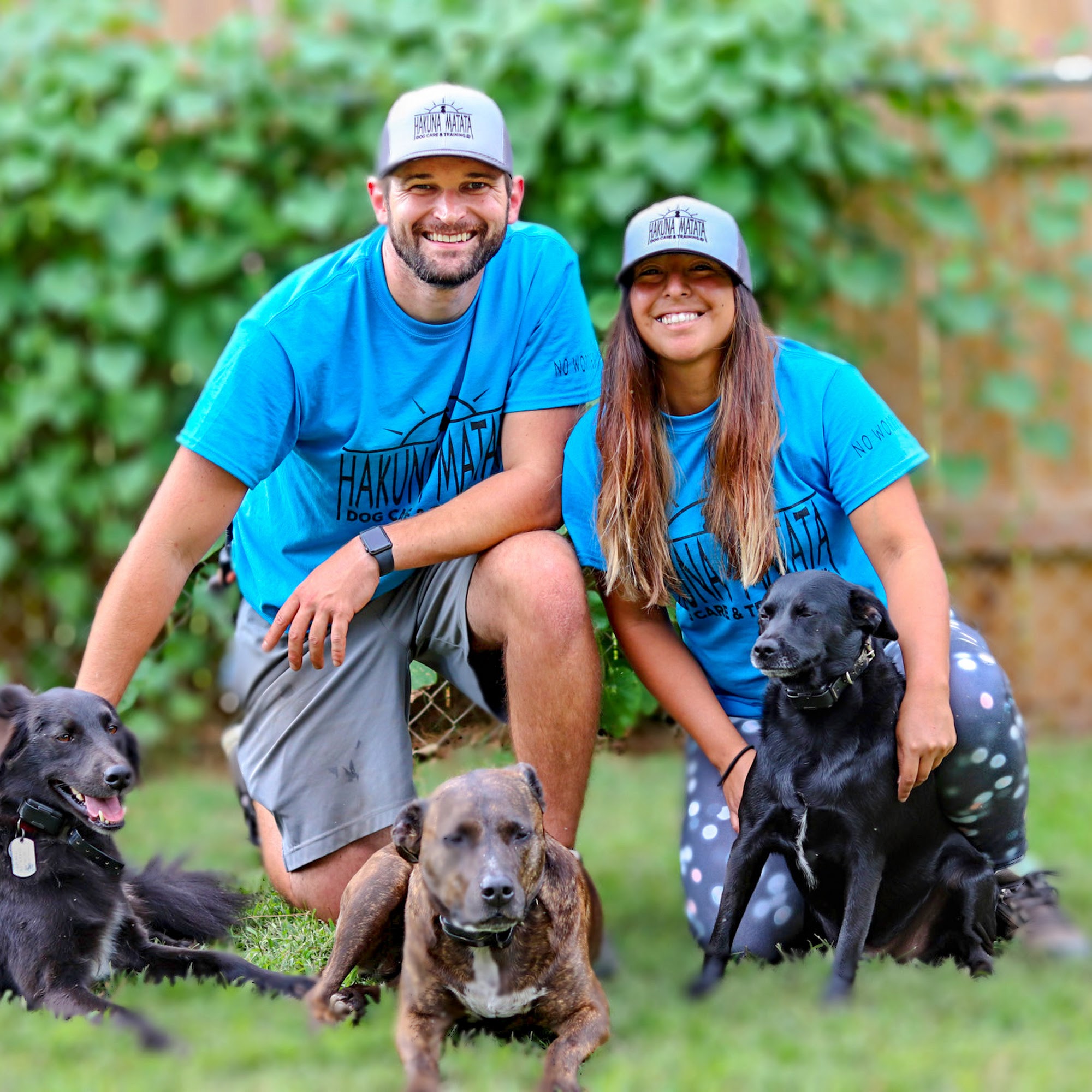 Hakuna Matata Dog Care & Training, LLC Charlotte