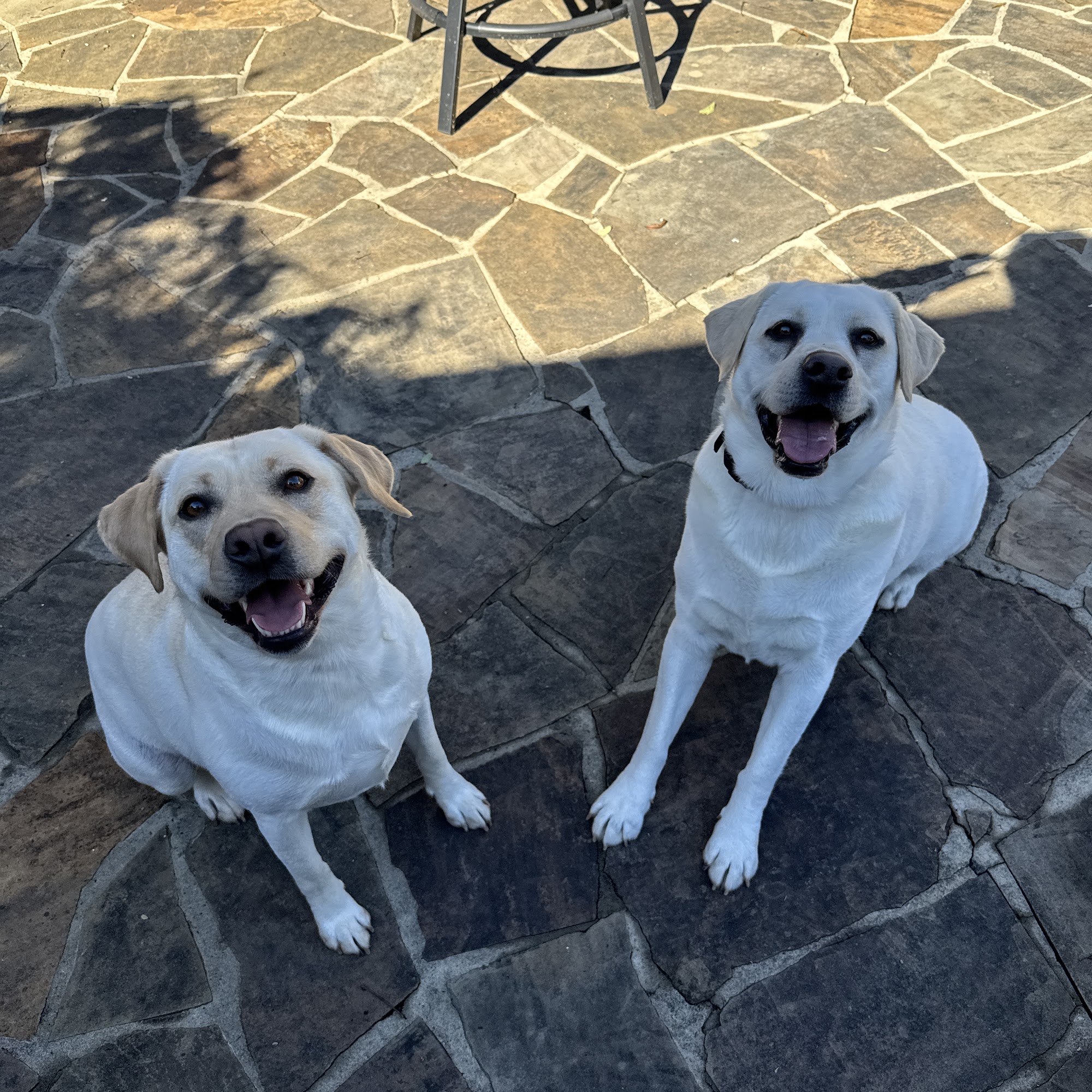 The Barker Lounge Charlotte