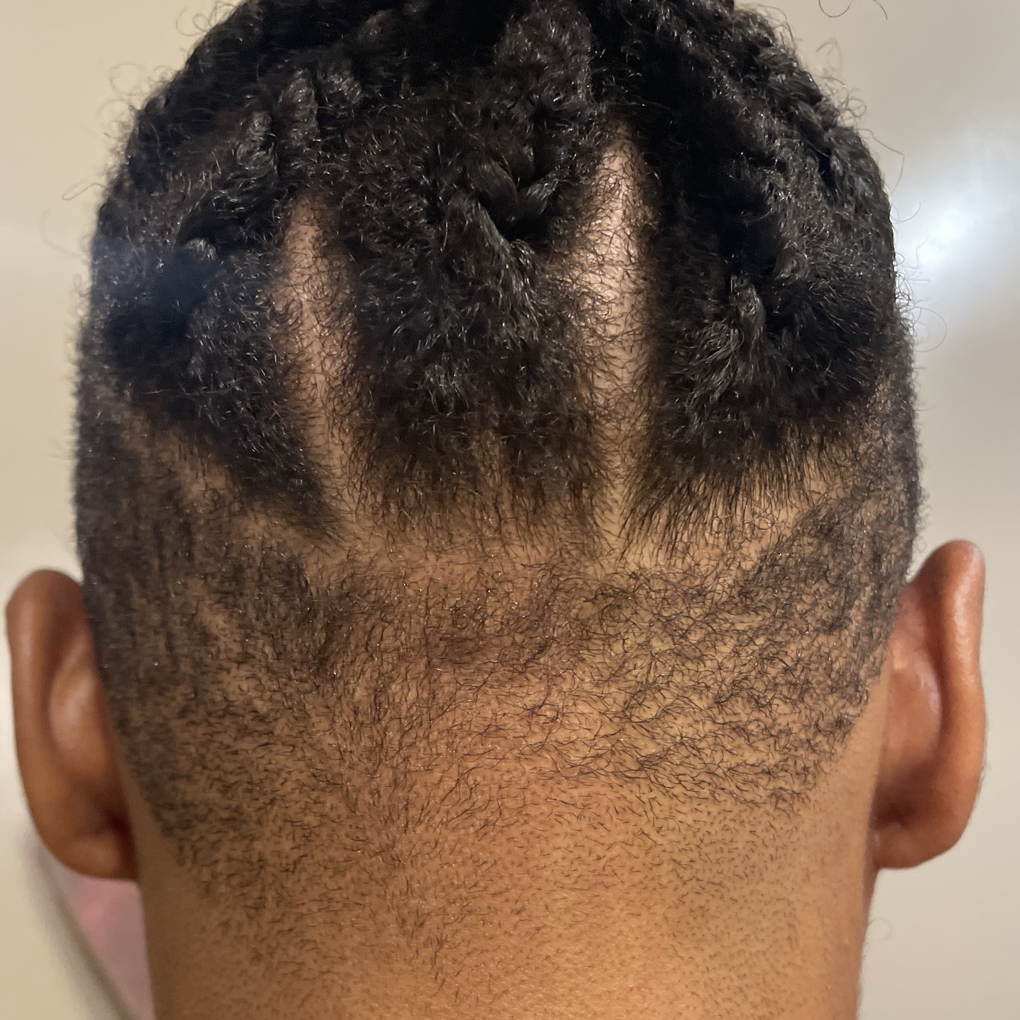 TLC GROOMING LOUNGE 1552 Berryhill Rd Suite B, Charlotte North Carolina 28208