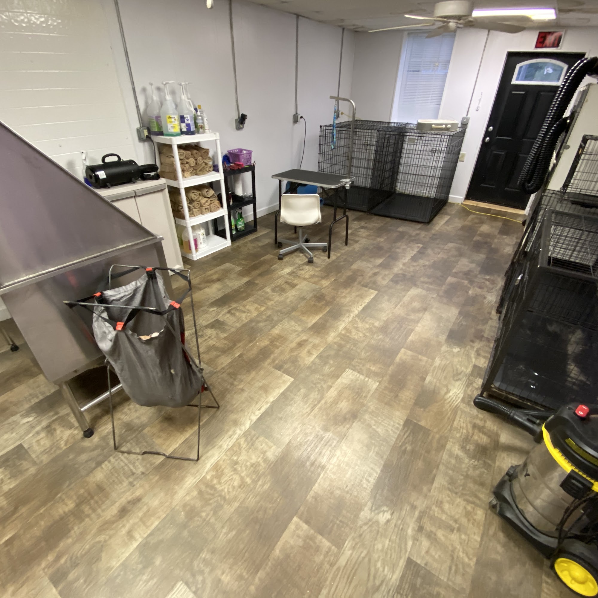 Pretty as a Peach Pet Salon Cherryville