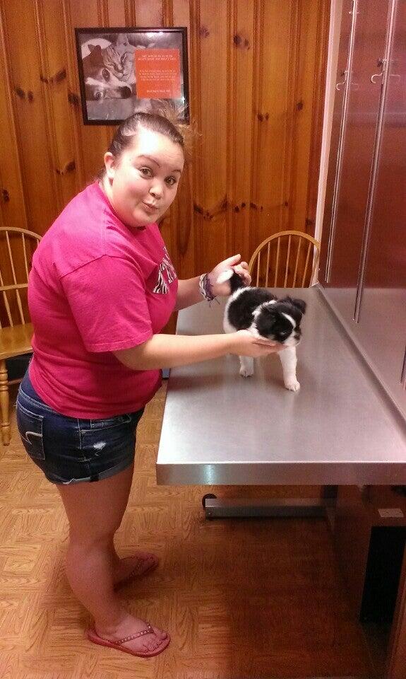 China Grove Animal Hospital China Grove