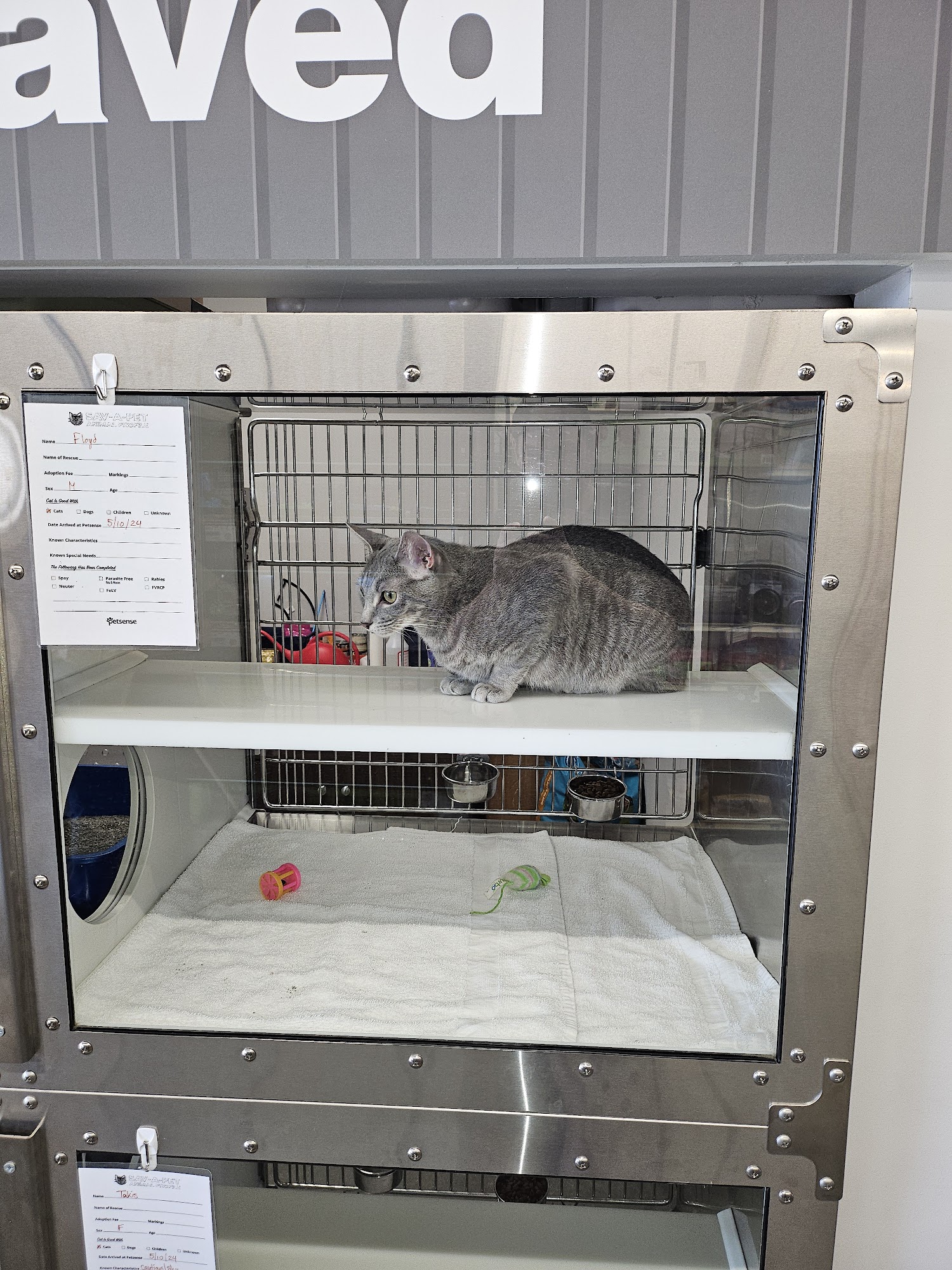 Petsense by Tractor Supply Clayton