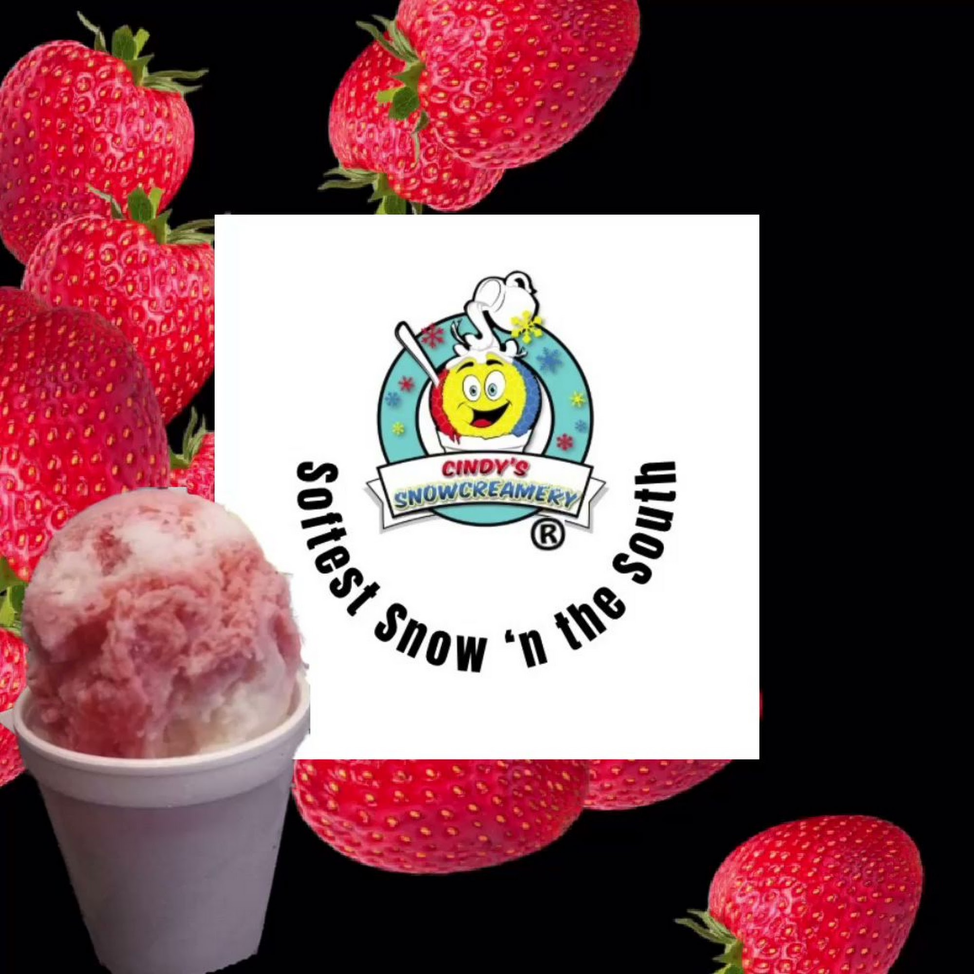 Cindy's SnowCreamery Clemmons