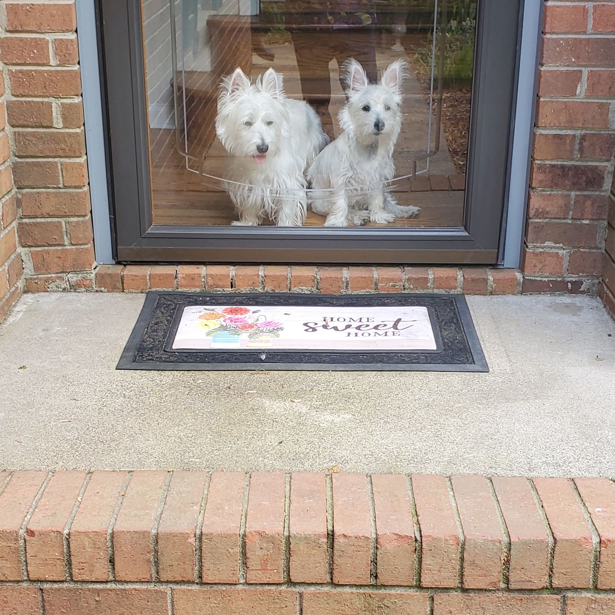 Steele Creek Grooming Cleveland