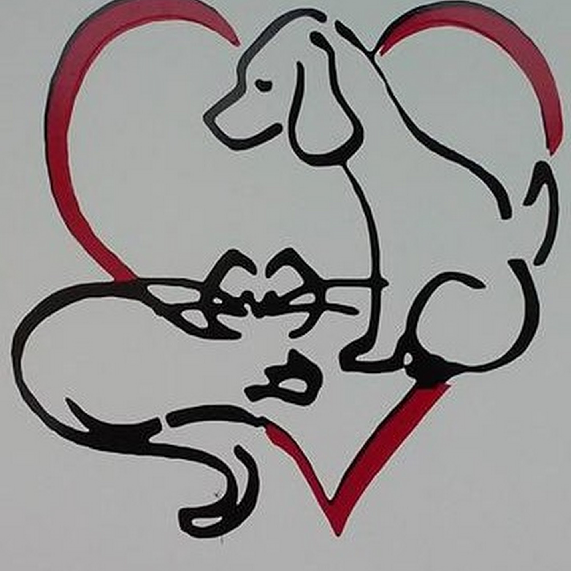 Tram Road Animal Hospital Clinton