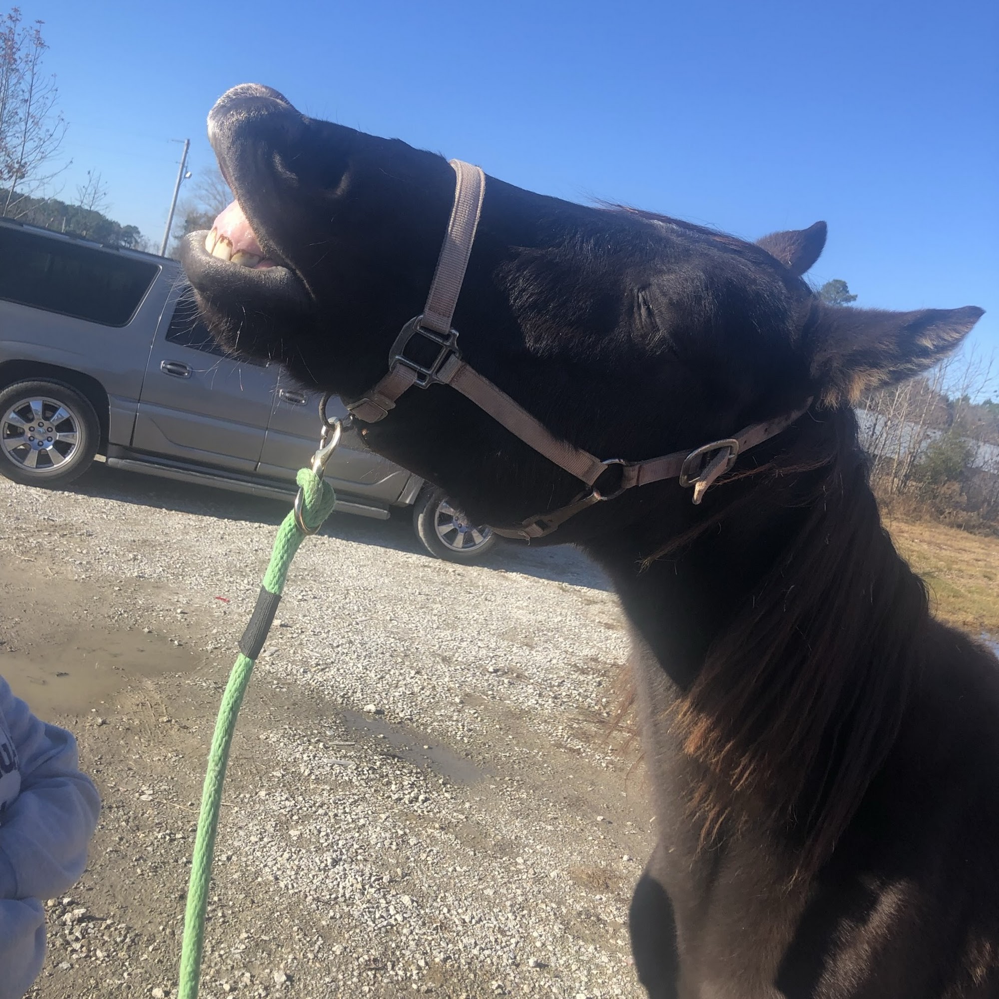 The Winky Washers LLC Clinton