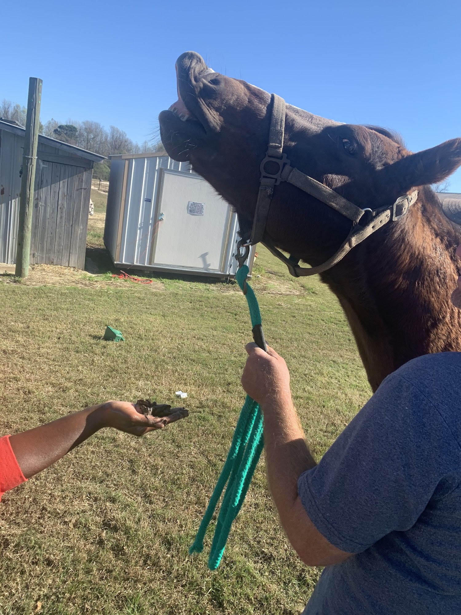 The Winky Washers LLC Clinton