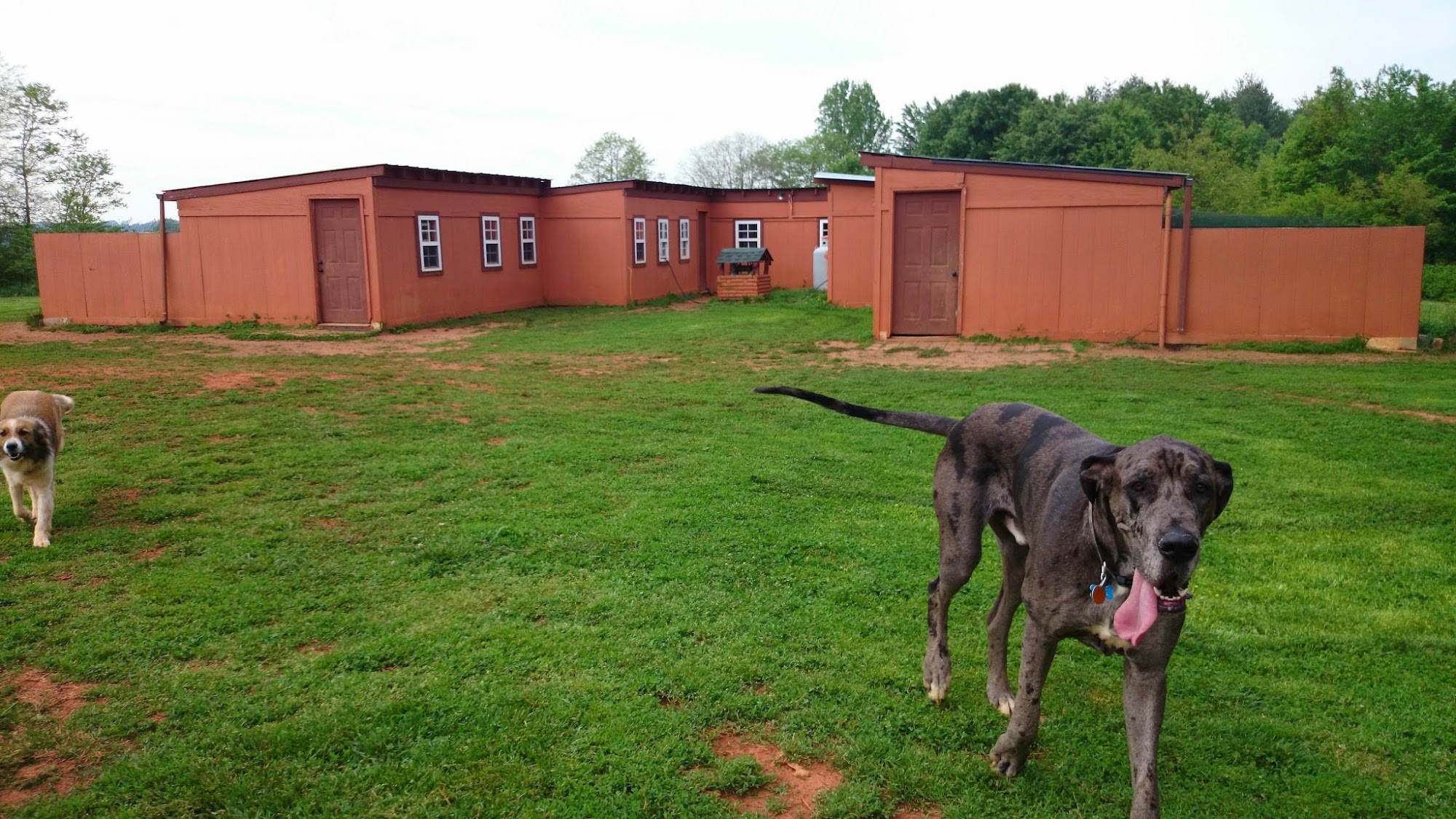 Dogwood Farm Kennels Columbus