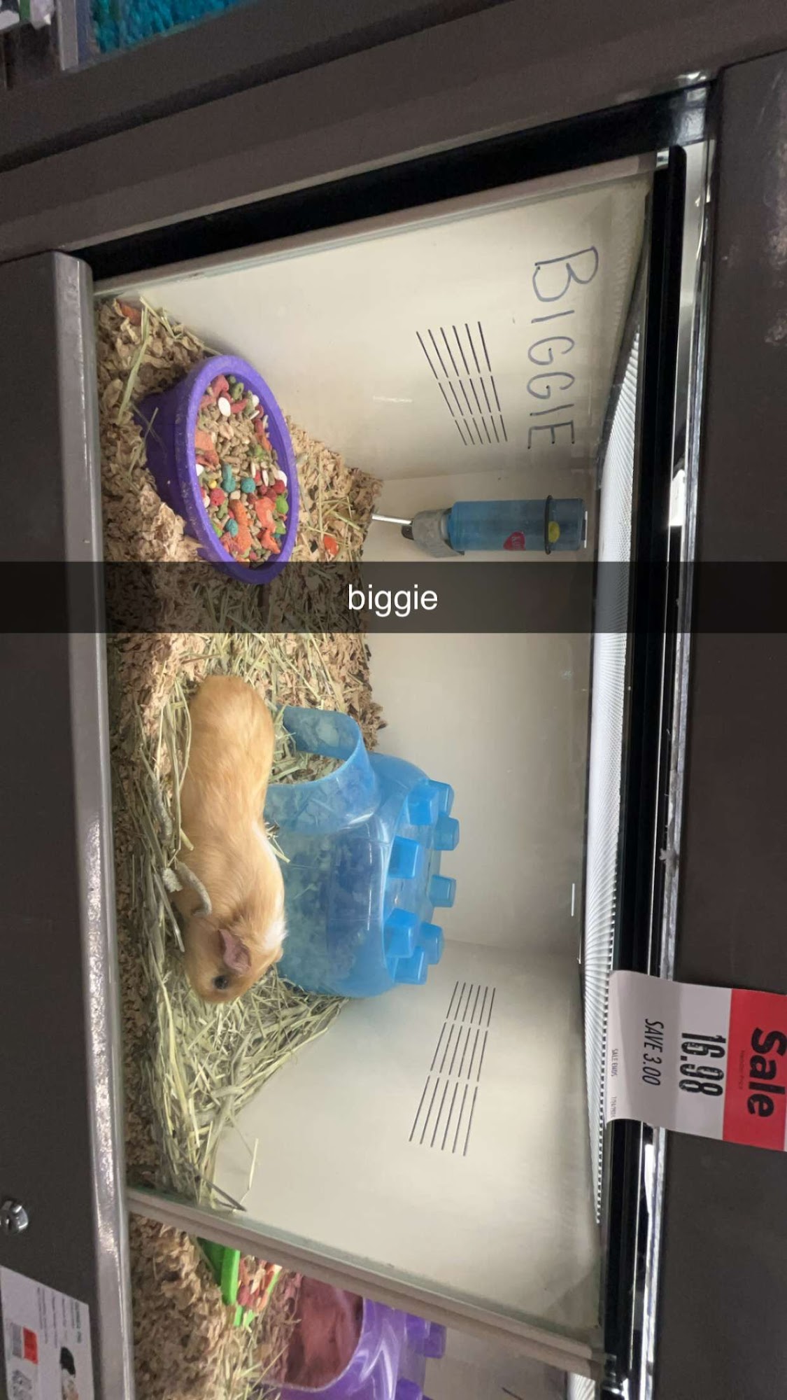 Pet Supplies Plus Concord Mills Concord