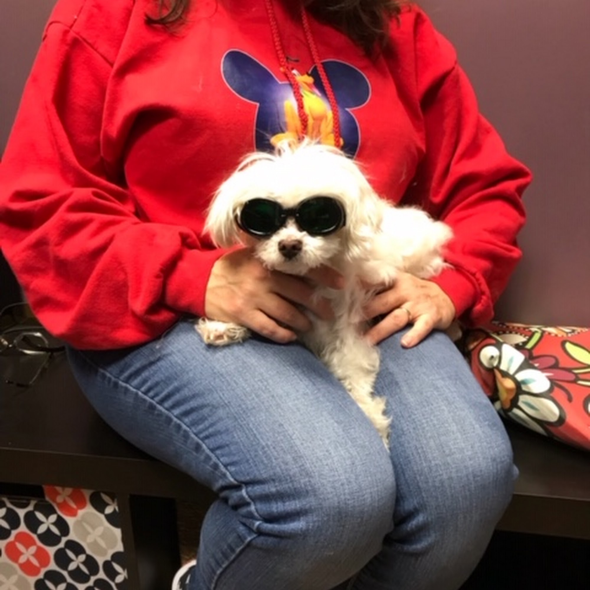 Highlands Pet Hospital Concord