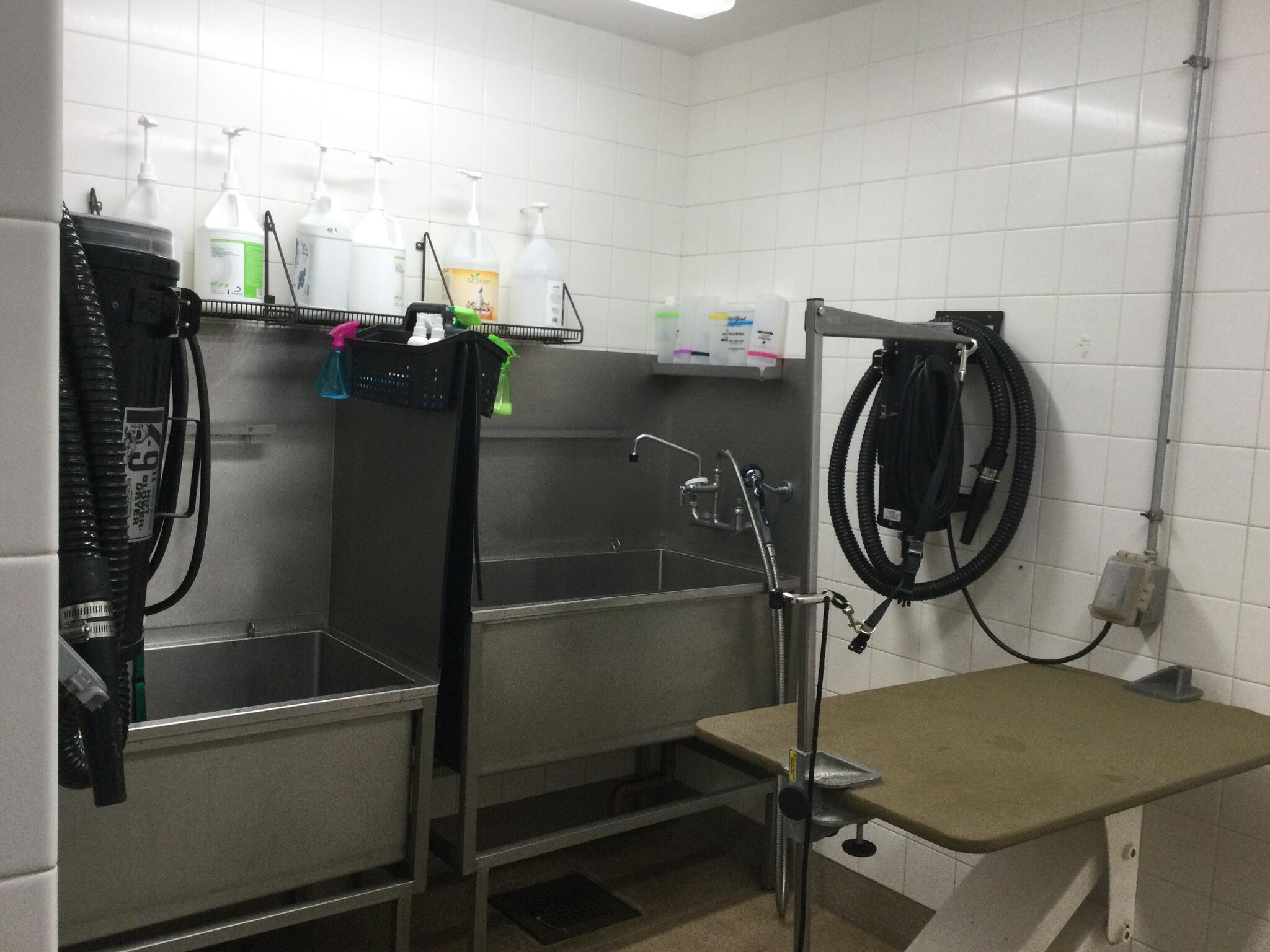 Petco Vaccination Clinic Concord