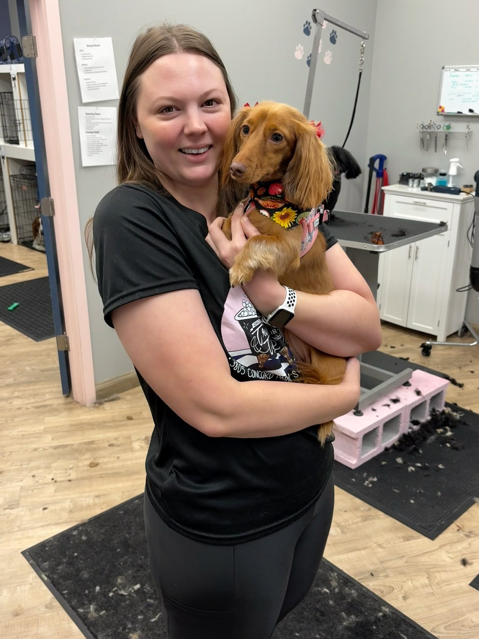 Trims For Tails, LLC Concord