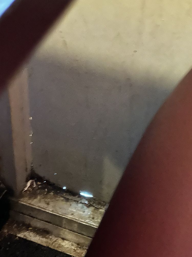 Jin's Buffet Conover