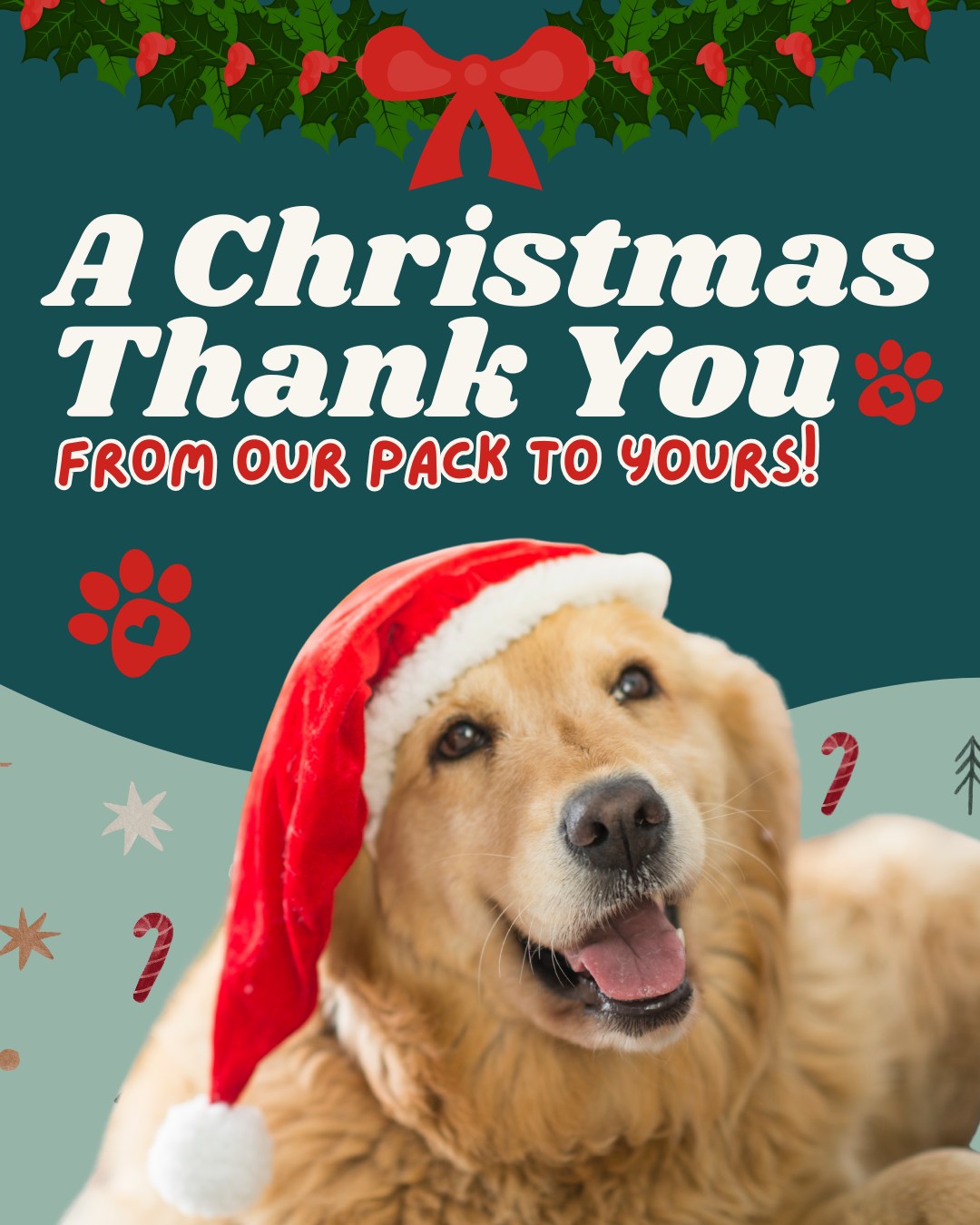 Lucky Dog Bark - Lake Norman Cornelius