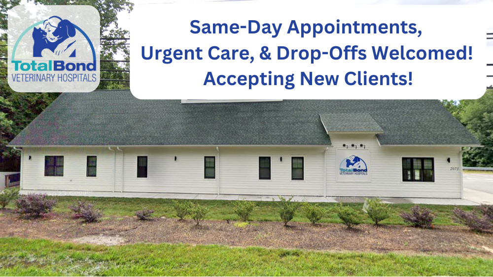 TotalBond Veterinary Hospital at Davidson Davidson