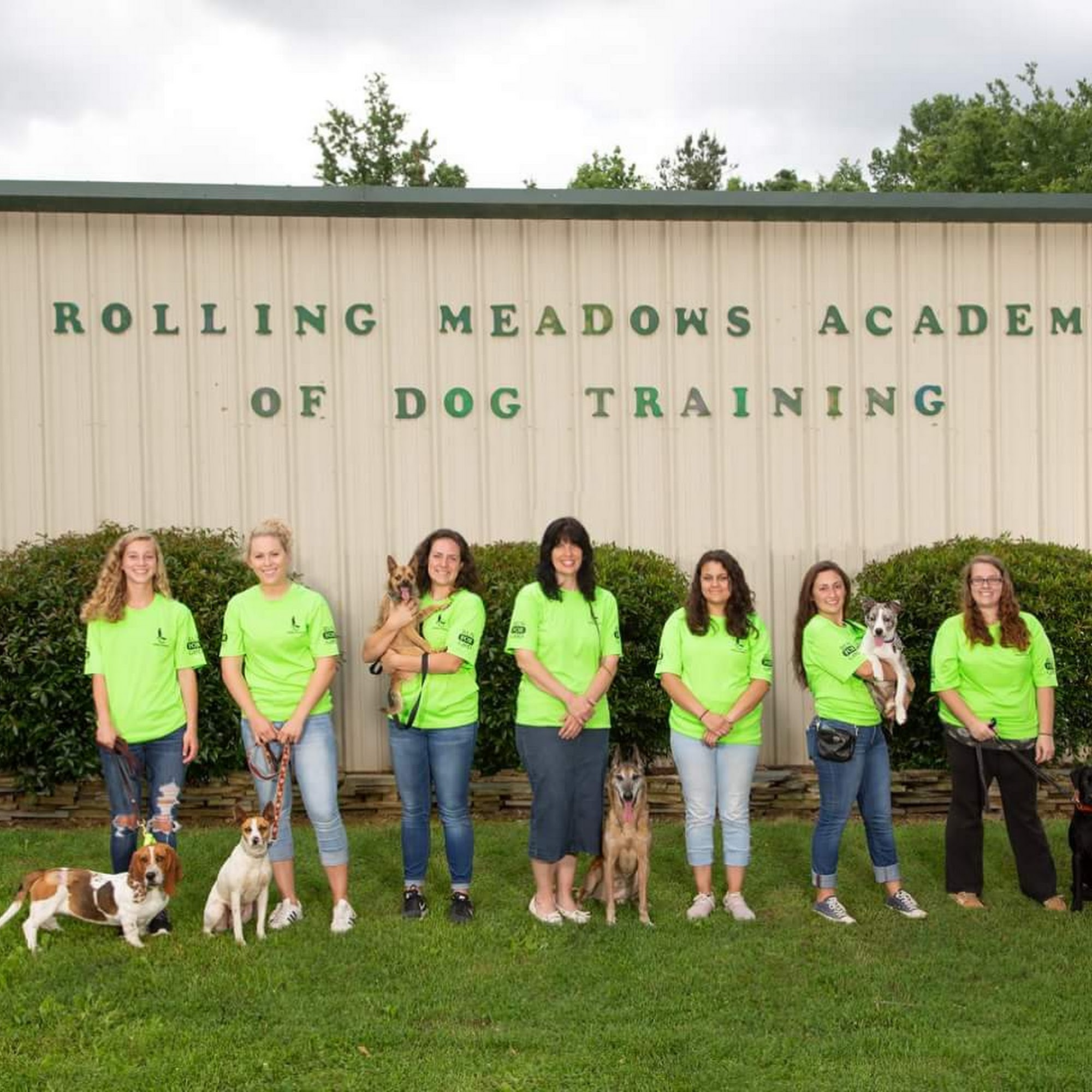 Rolling Meadows Academy of Dog Training Denton
