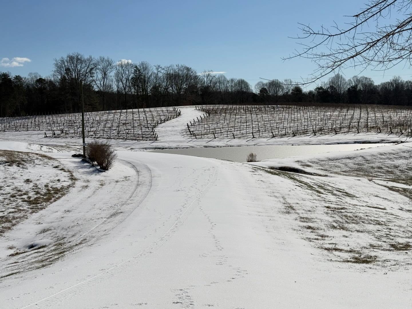 Stony Knoll Vineyards Dobson