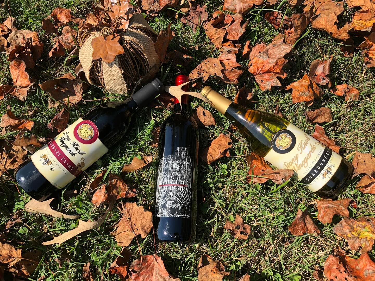 Stony Knoll Vineyards Dobson