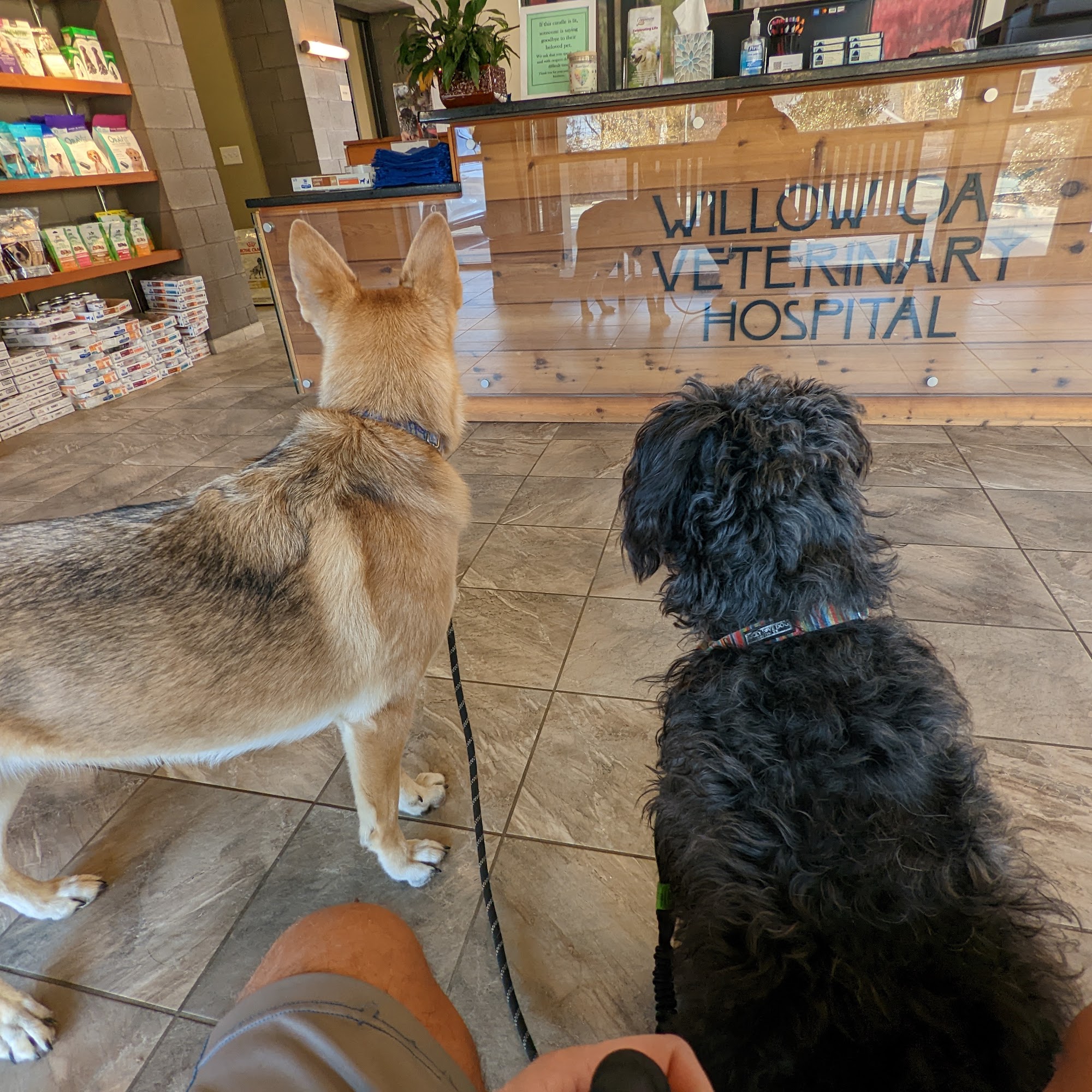 Willow Oak Veterinary Hospital - Mark Cagle DVM Durham