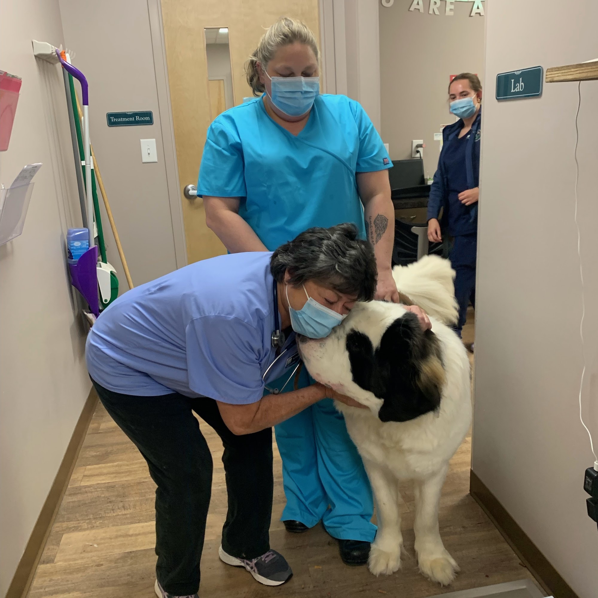 Falconbridge Animal Hospital Durham