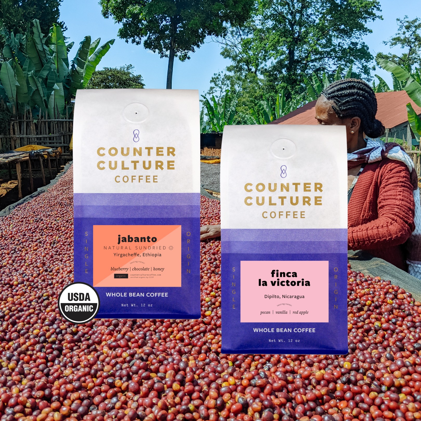 Counter Culture Coffee Menu