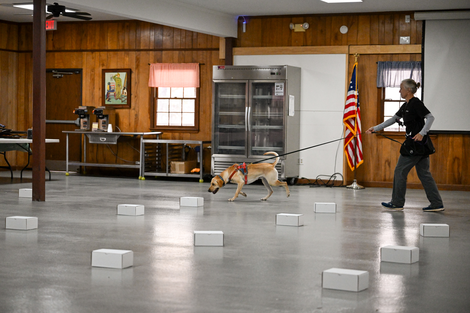 Whole Dog Institute Durham