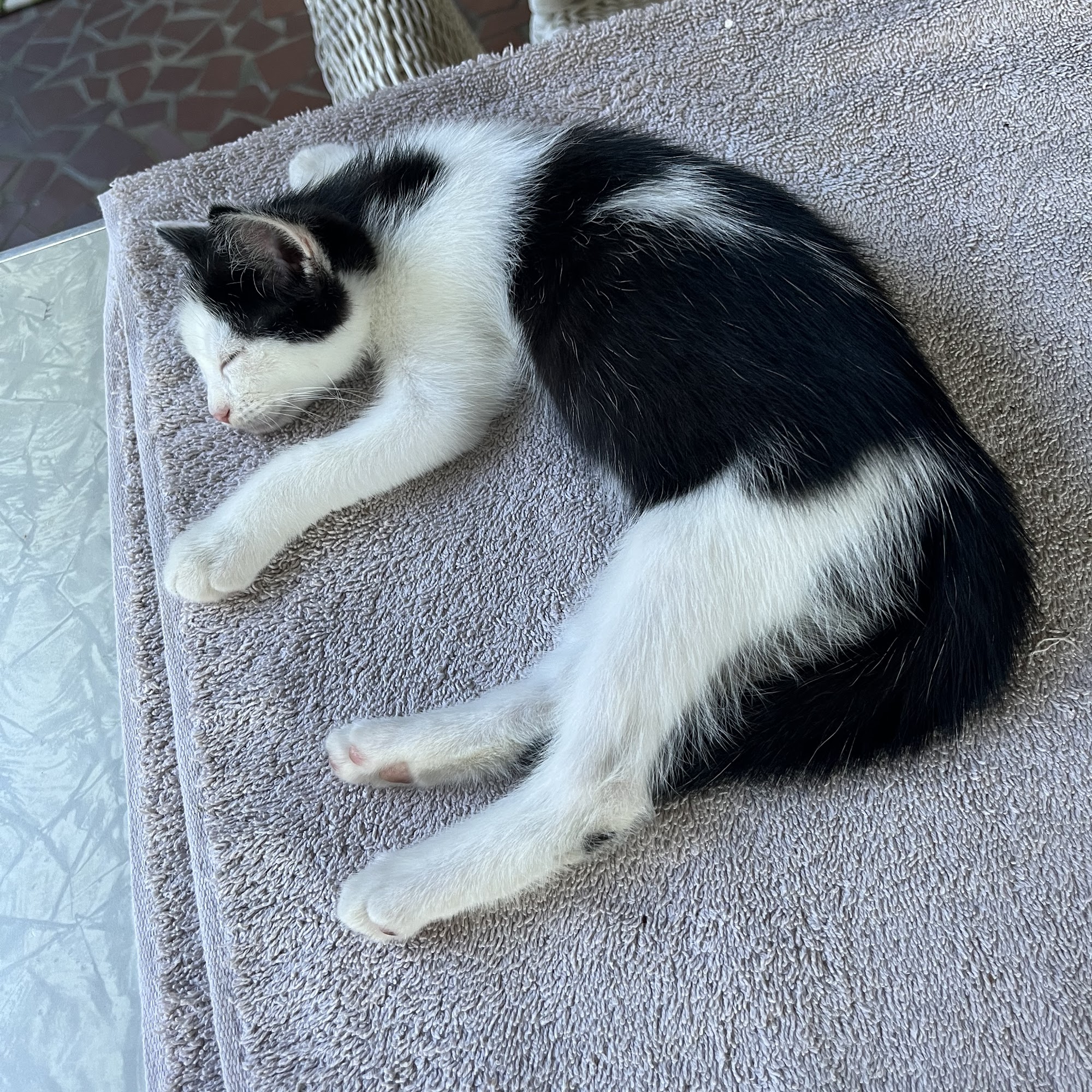 Eden Veterinary Hospital Eden