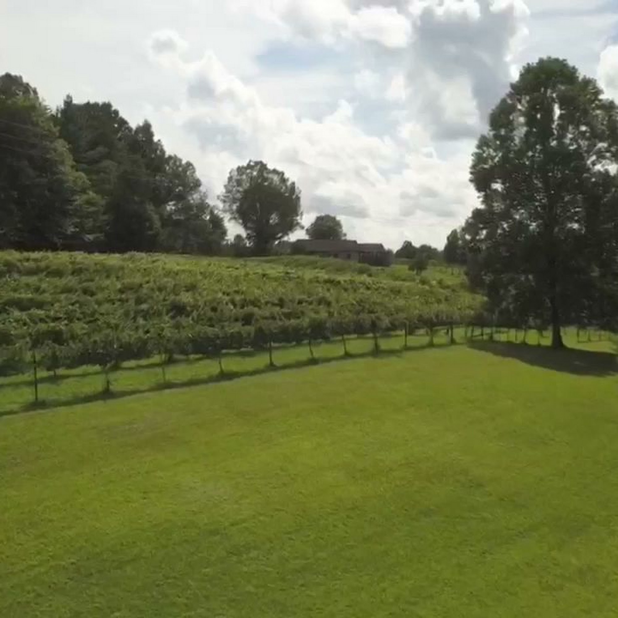 Carolina Heritage Vineyard & Winery Elkin