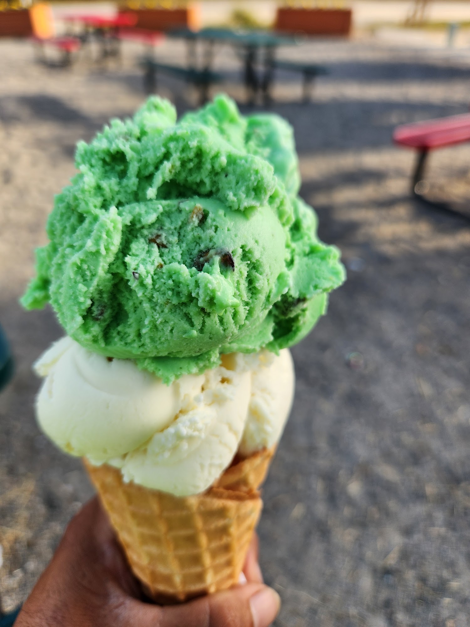 The Berry Patch Ellerbe