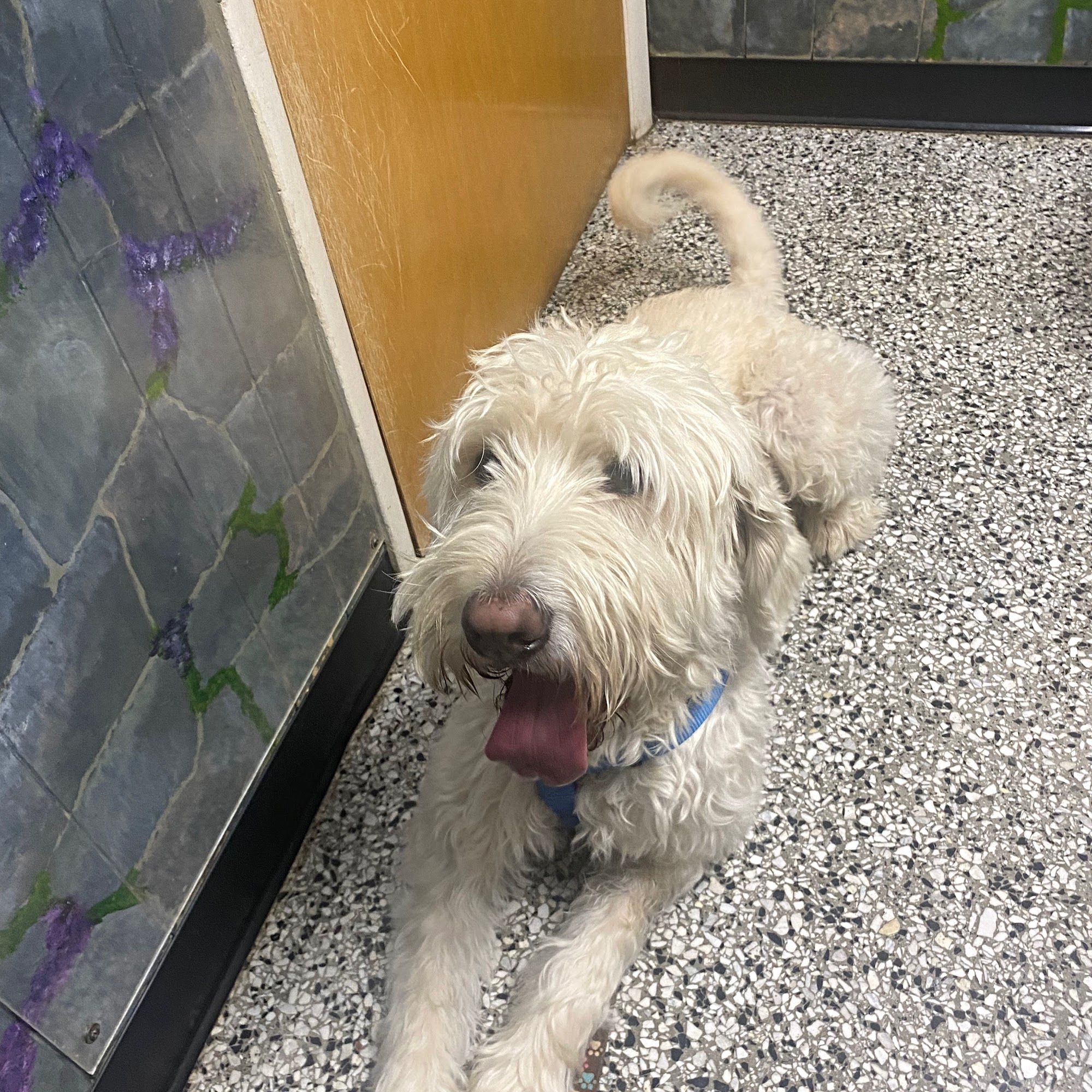 Fairview Animal Hospital Fairview